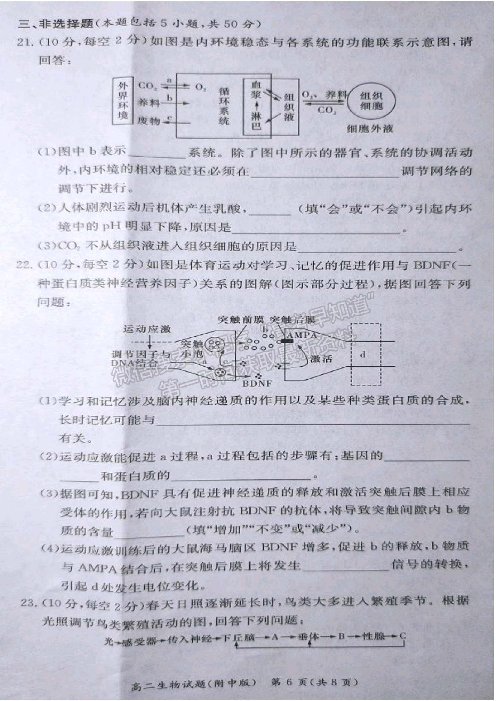 2021-2022學(xué)年湖師大附中學(xué)高二上學(xué)期期中考生物試題及答案