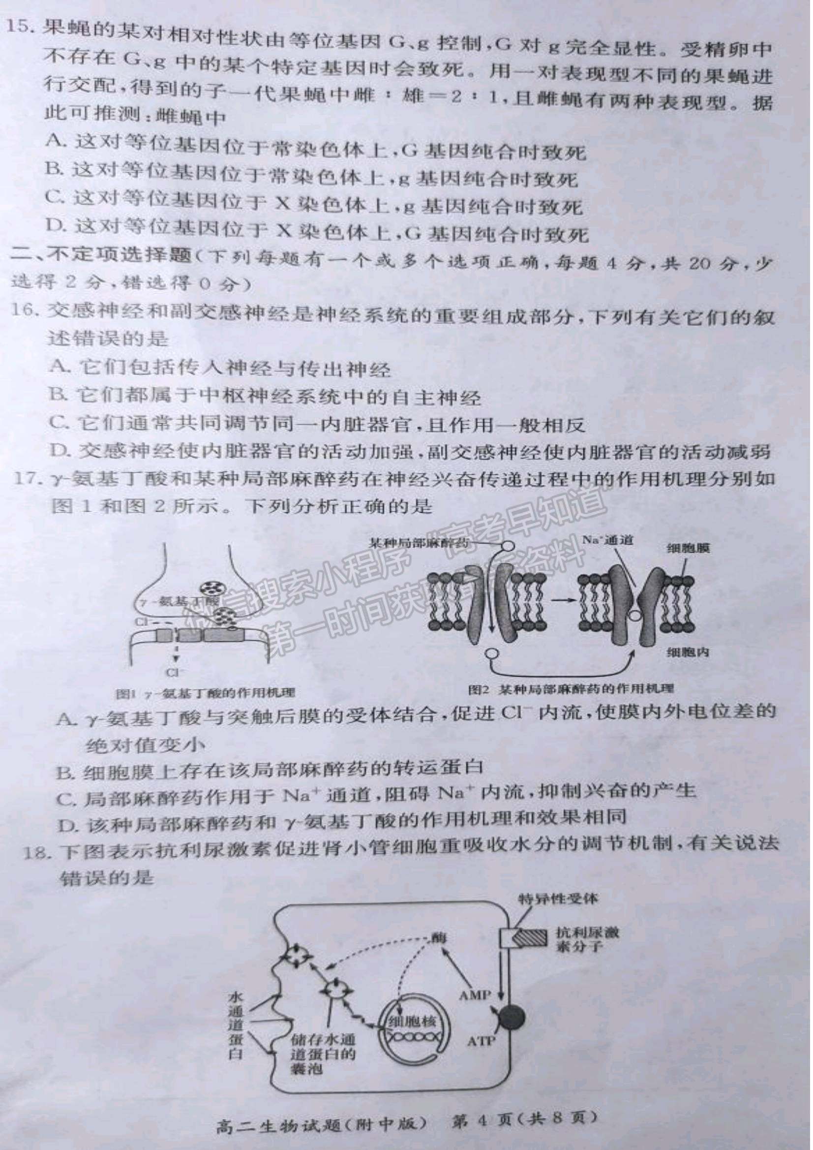 2021-2022學年湖師大附中學高二上學期期中考生物試題及答案