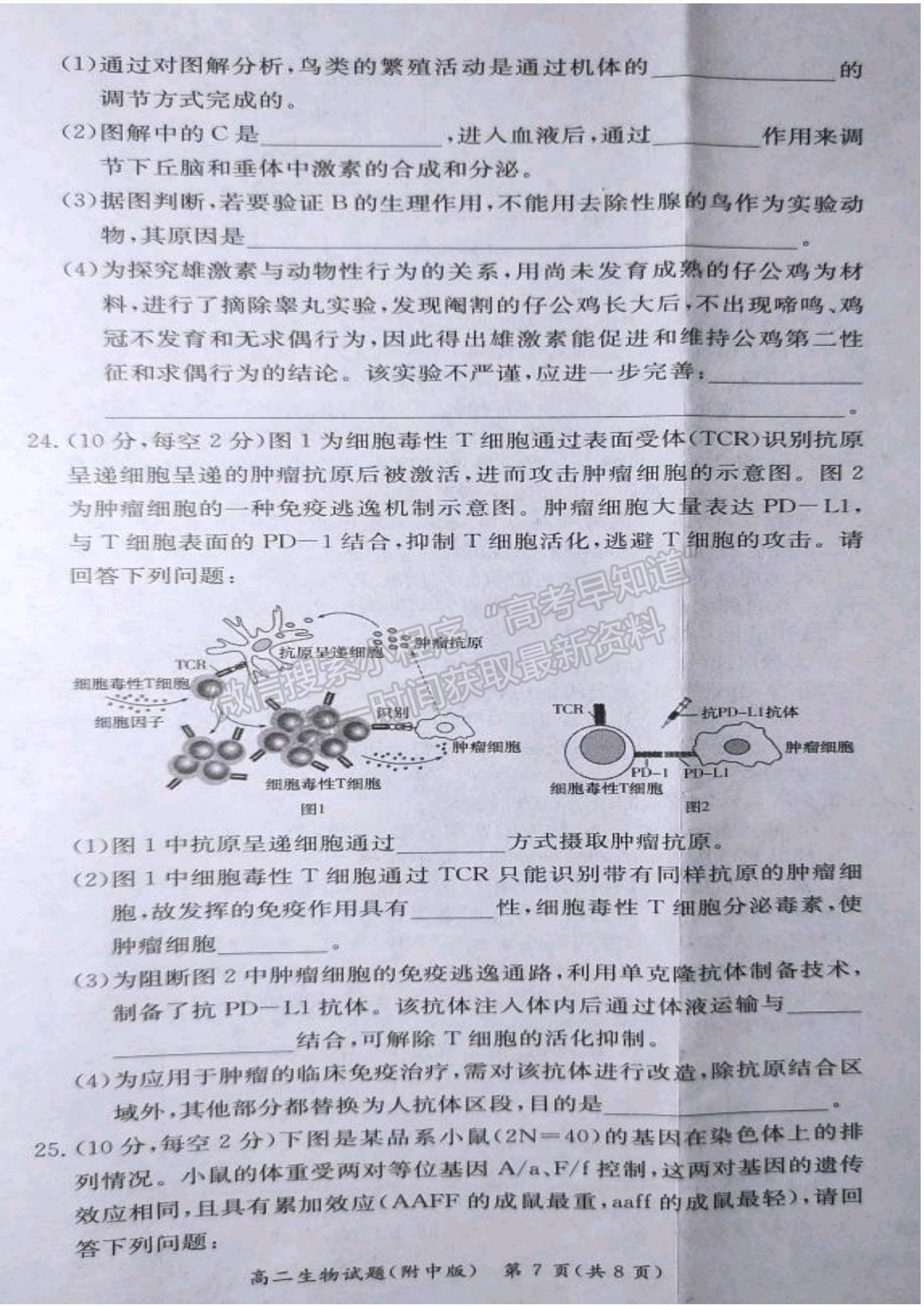 2021-2022學年湖師大附中學高二上學期期中考生物試題及答案