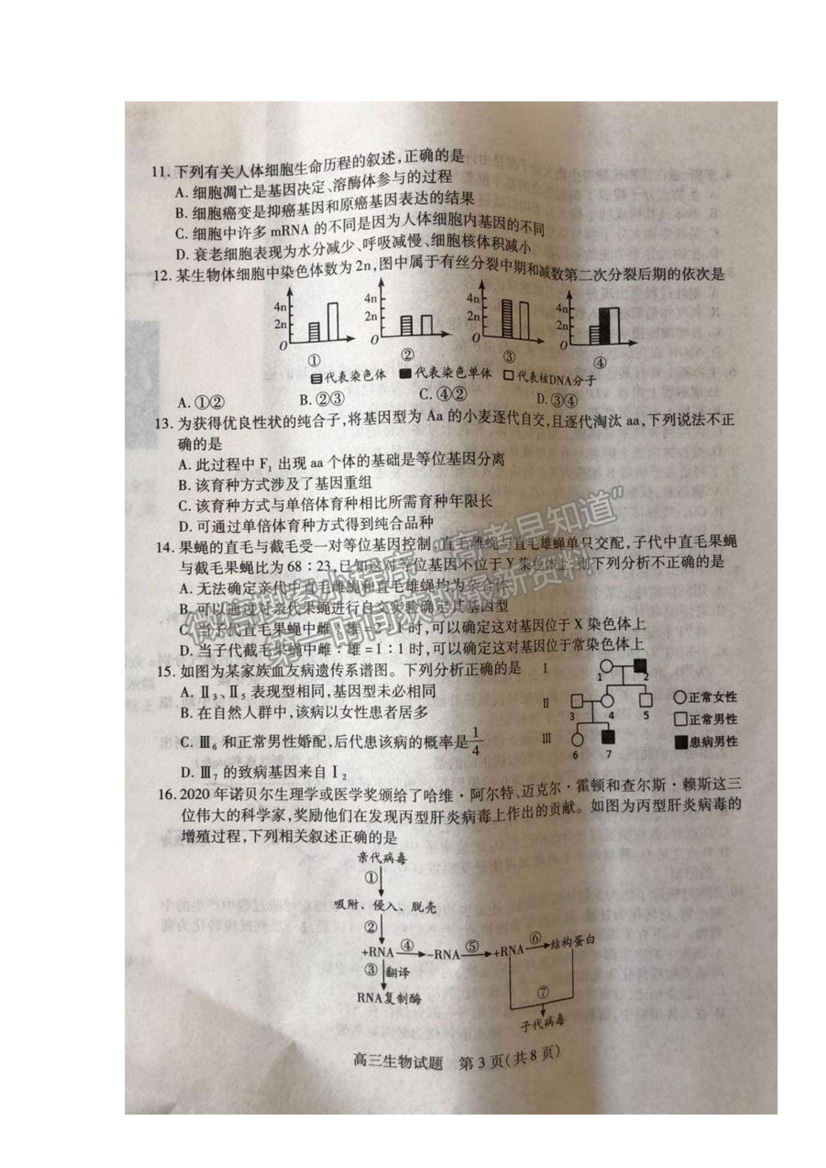 2022山西省運城市高三上學(xué)期入學(xué)摸底測試生物試題及參考答案