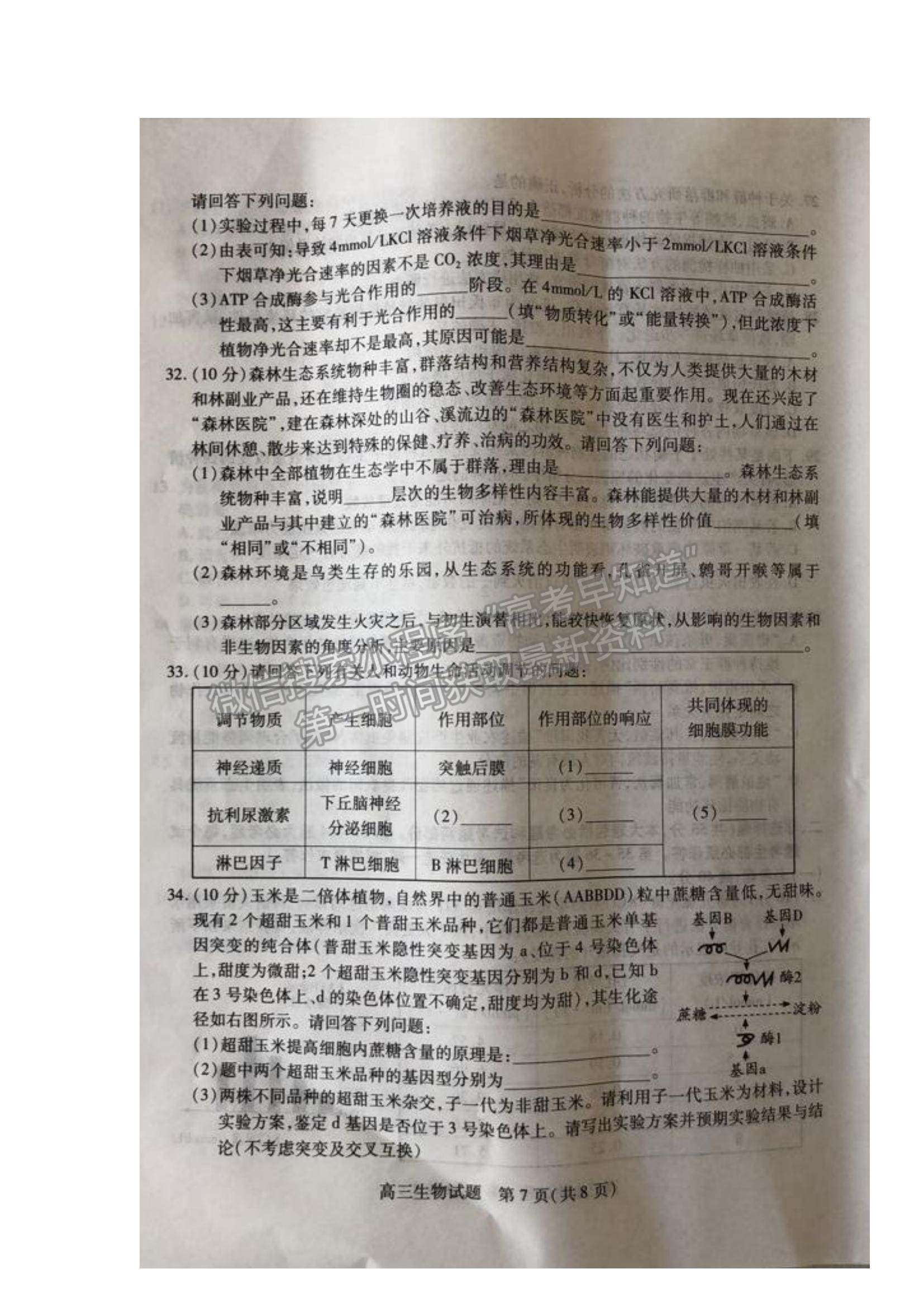 2022山西省運(yùn)城市高三上學(xué)期入學(xué)摸底測(cè)試生物試題及參考答案