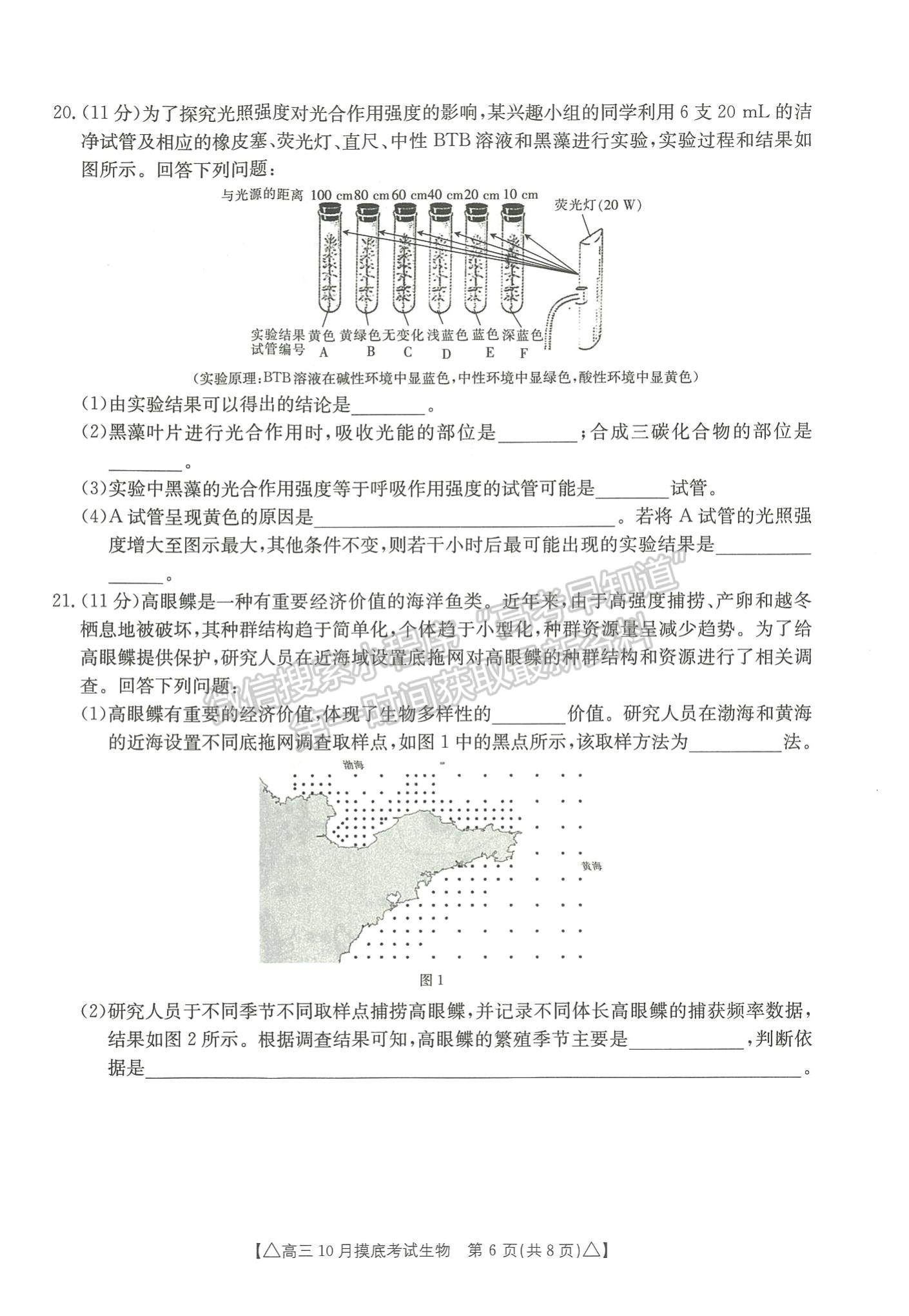 2022河北省保定市高三上學期摸底考試生物試卷及參考答案