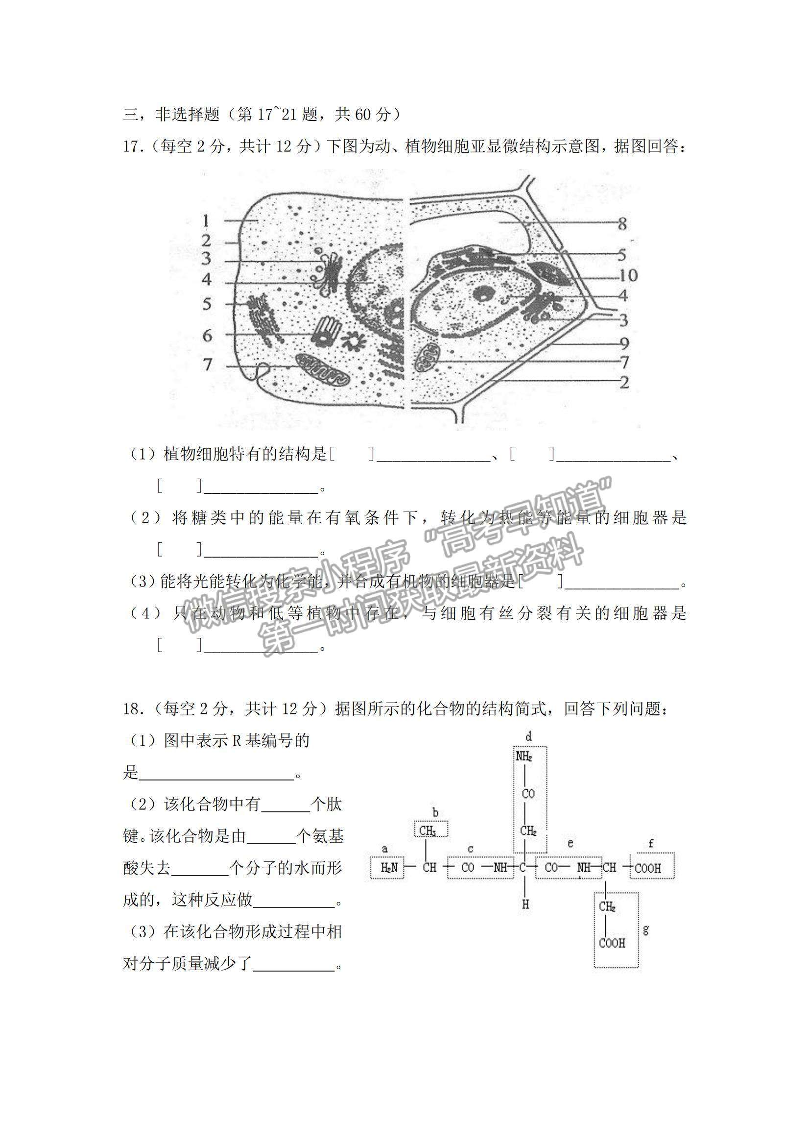 2022湖南省懷化市第五中學高一上學期期中考試生物試卷及參考答案