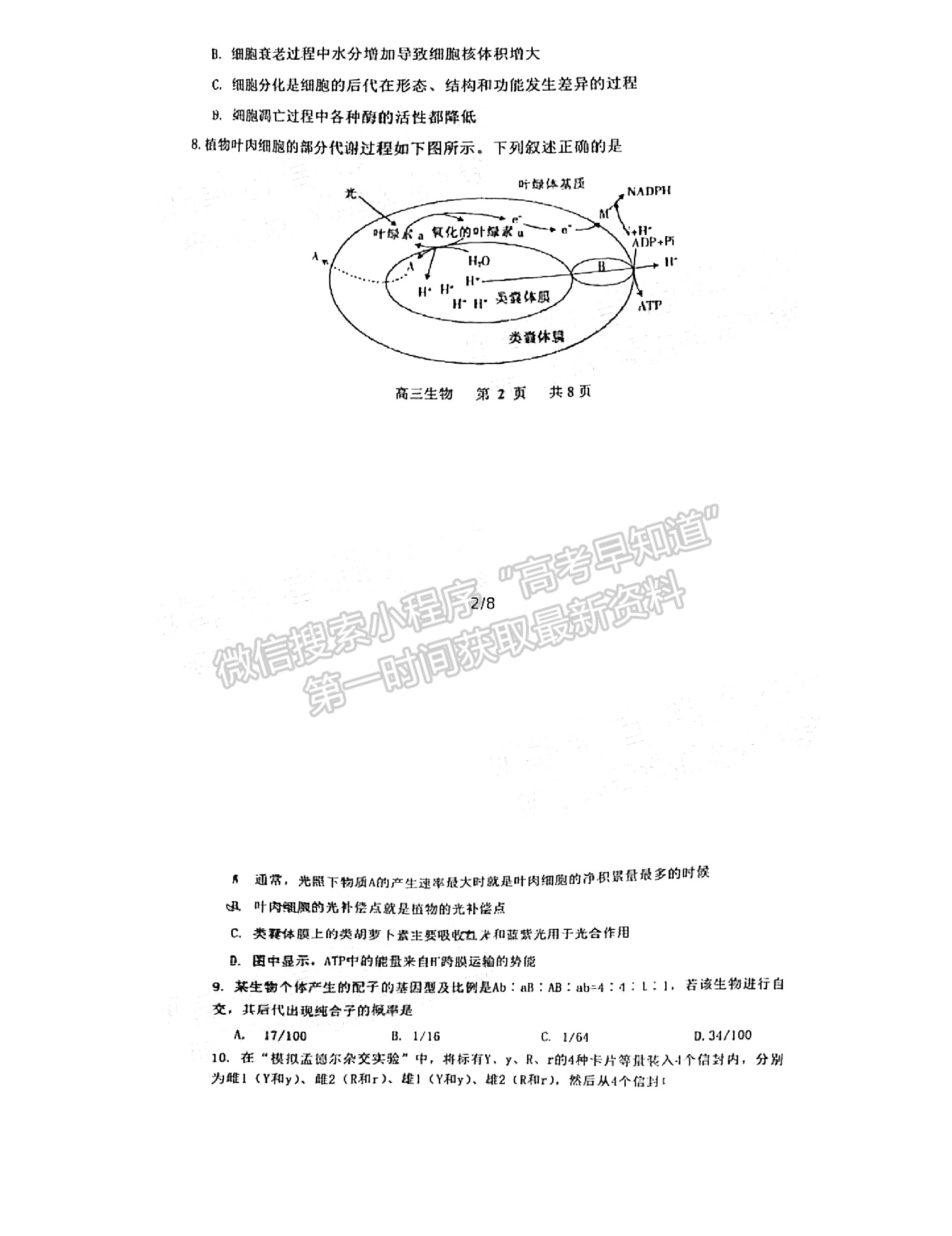 2022景德鎮(zhèn)高三一檢考試生物試題及參考答案 