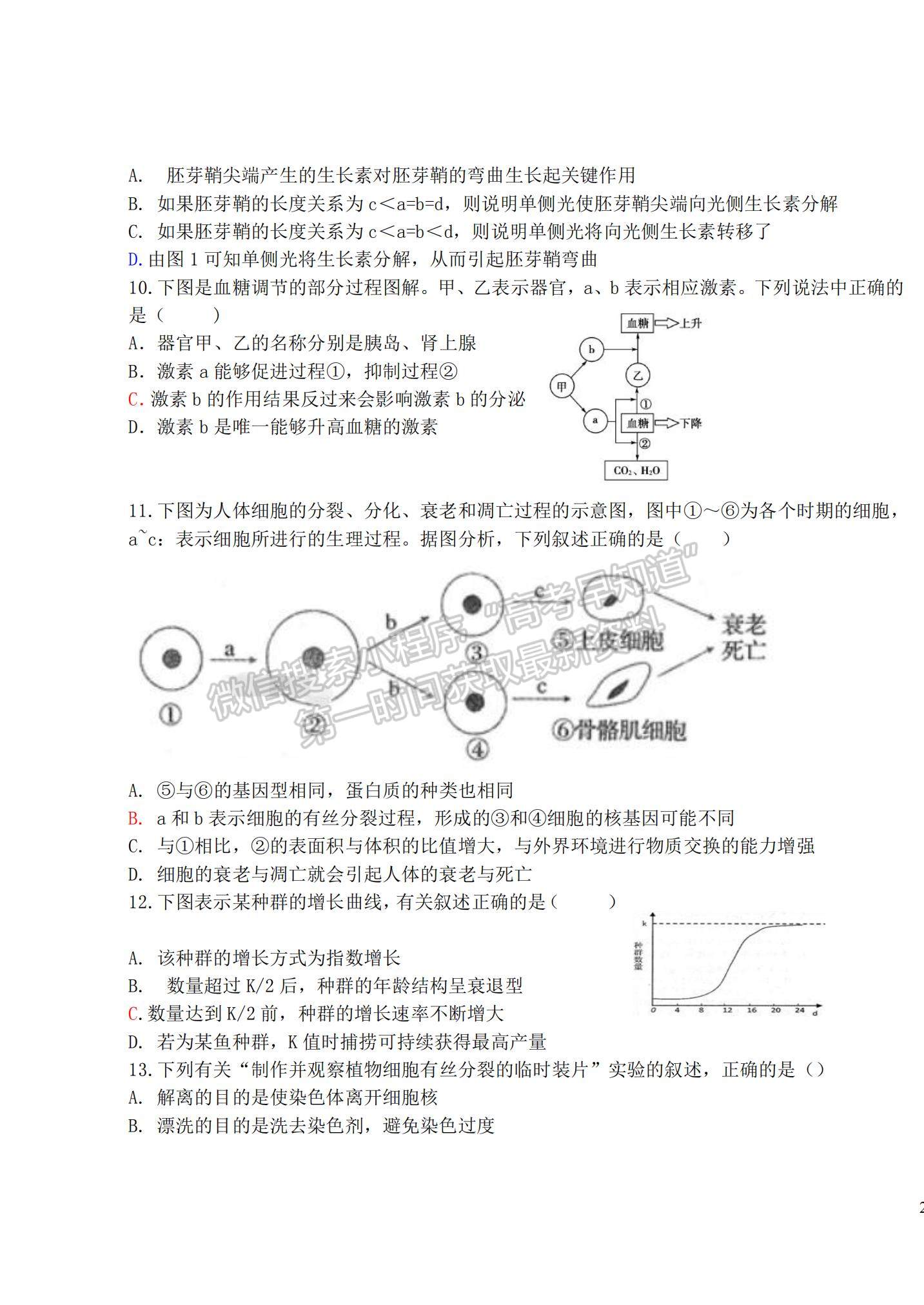 2022黑龍江省密山市第四中學(xué)高三上學(xué)期第二次月考生物試題及參考答案