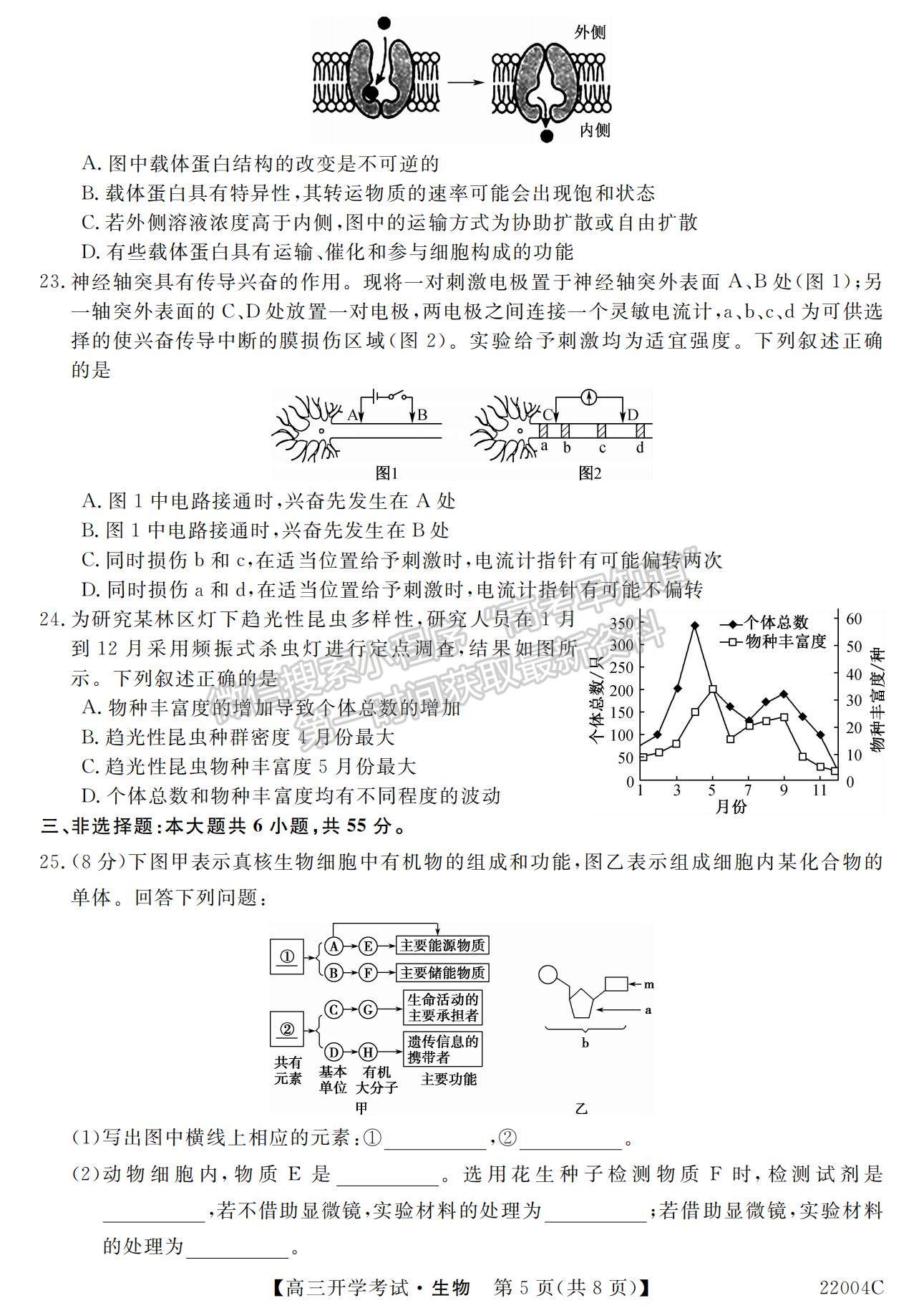 2022河北省邯鄲市肥鄉(xiāng)區(qū)第一中學(xué)高三上學(xué)期開學(xué)考試生物試題及參考答案