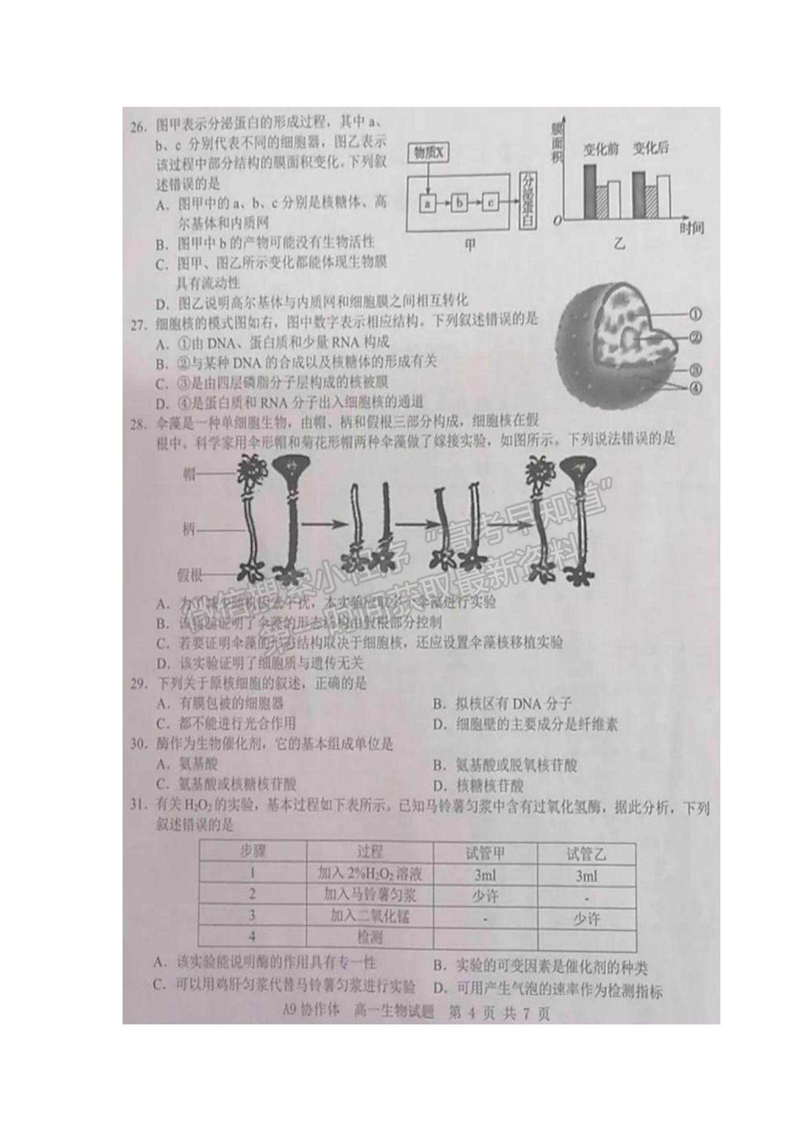 2022浙江省A9協(xié)作體高一上學(xué)期期中聯(lián)考生物試題及參考答案