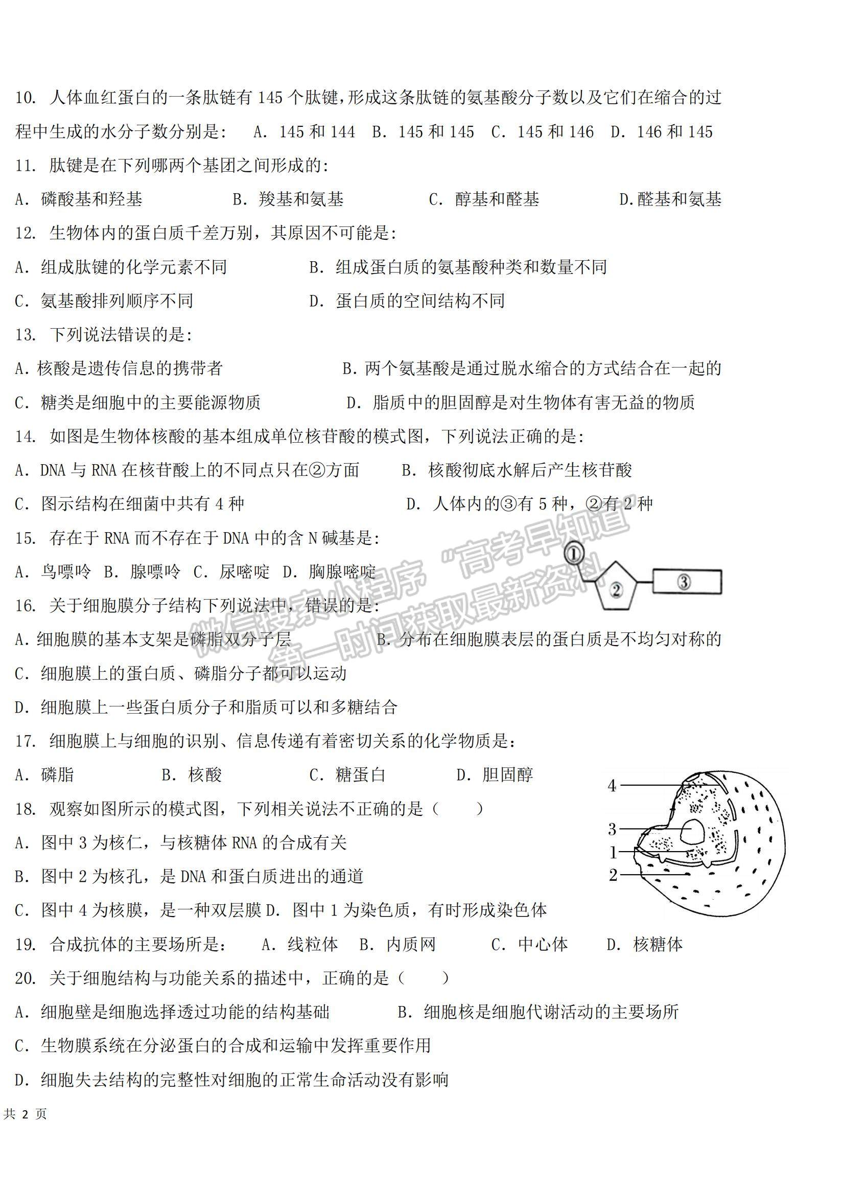 2022新疆新和縣實(shí)驗(yàn)中學(xué)高一上學(xué)期期中考試生物試題及參考答案