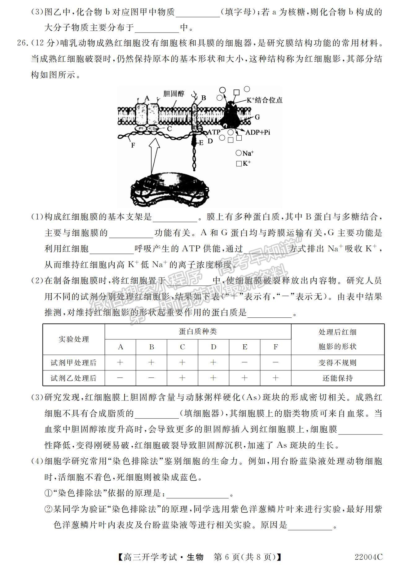 2022河北省邯鄲市肥鄉(xiāng)區(qū)第一中學(xué)高三上學(xué)期開學(xué)考試生物試題及參考答案