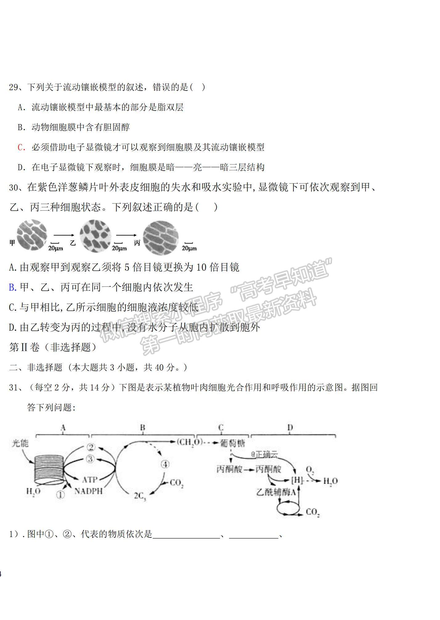 2022黑龍江省密山市第四中學高三上學期第一次月考生物試題及參考答案