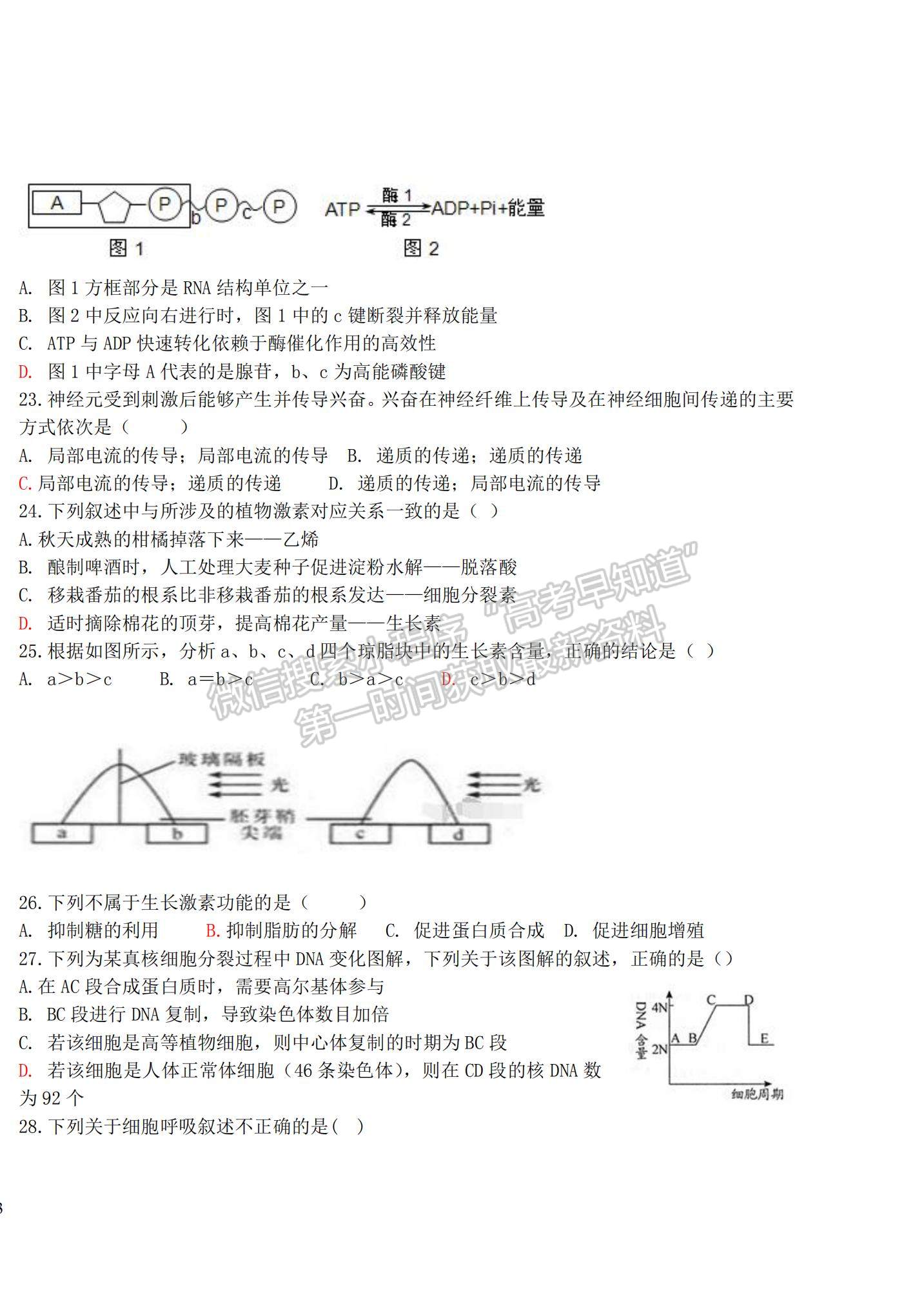 2022黑龍江省密山市第四中學高三上學期第二次月考生物試題及參考答案