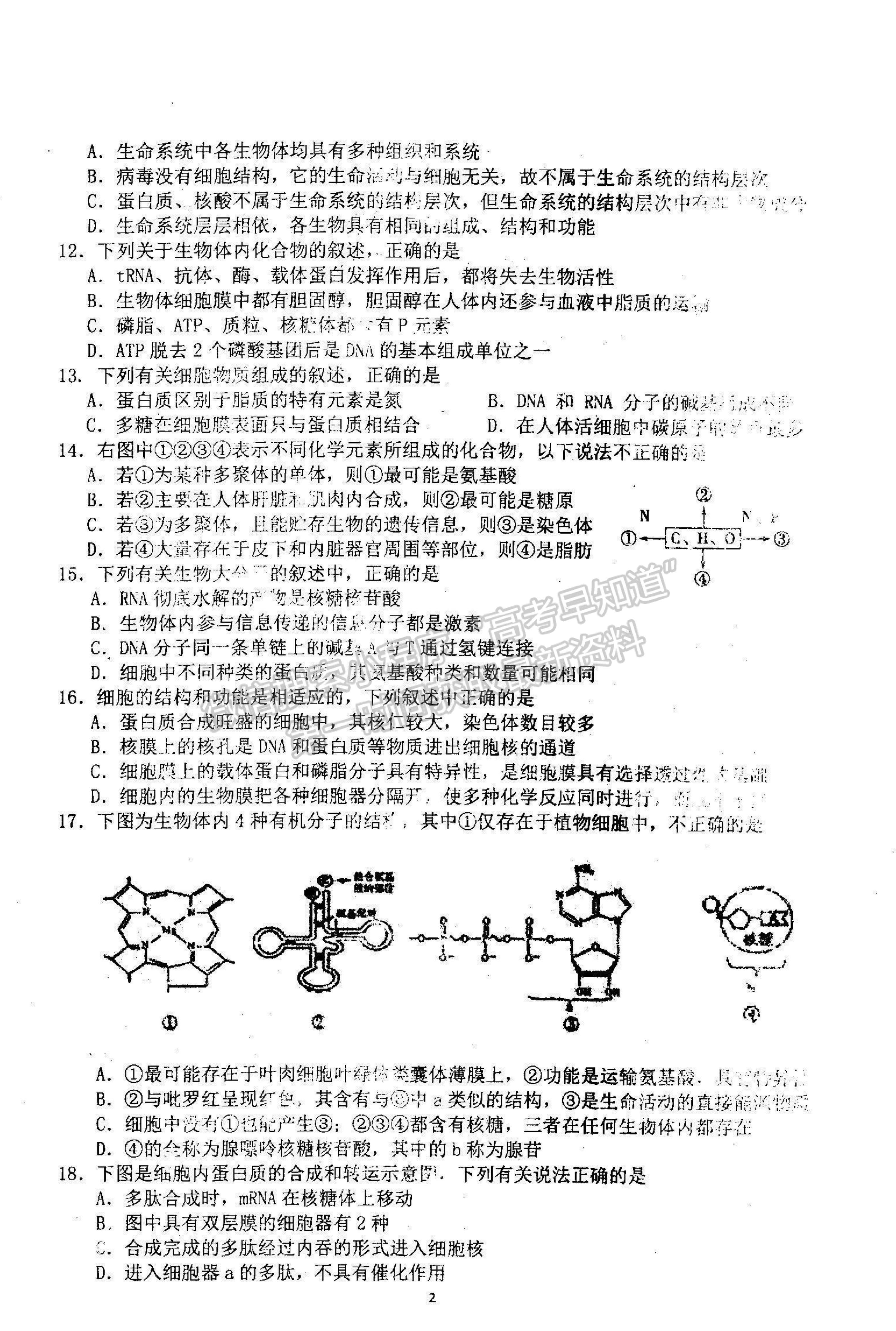 2022河南省信陽(yáng)市第二高級(jí)中學(xué)高三上學(xué)期9月半月考（周考）生物試題及參考答案