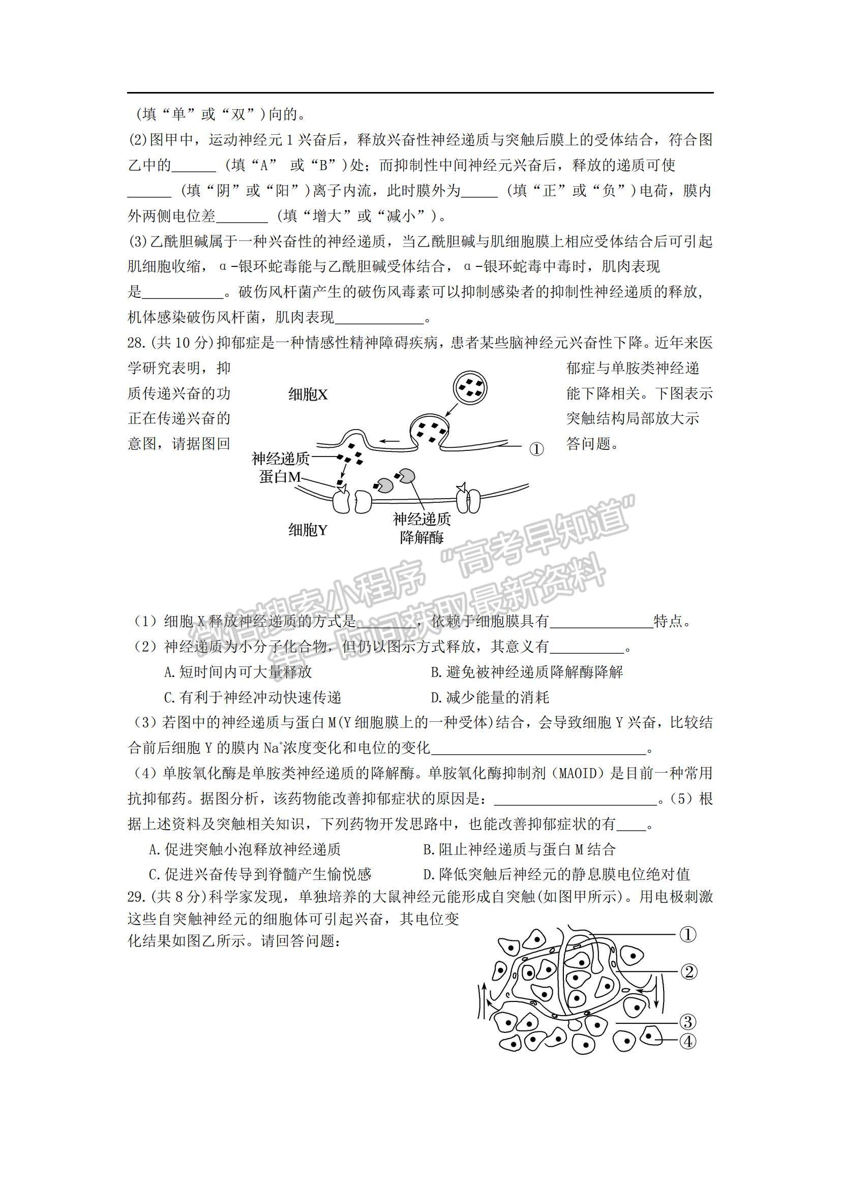 2022深圳實驗學(xué)校高二上學(xué)期第一階段考試生物試題及參考答案