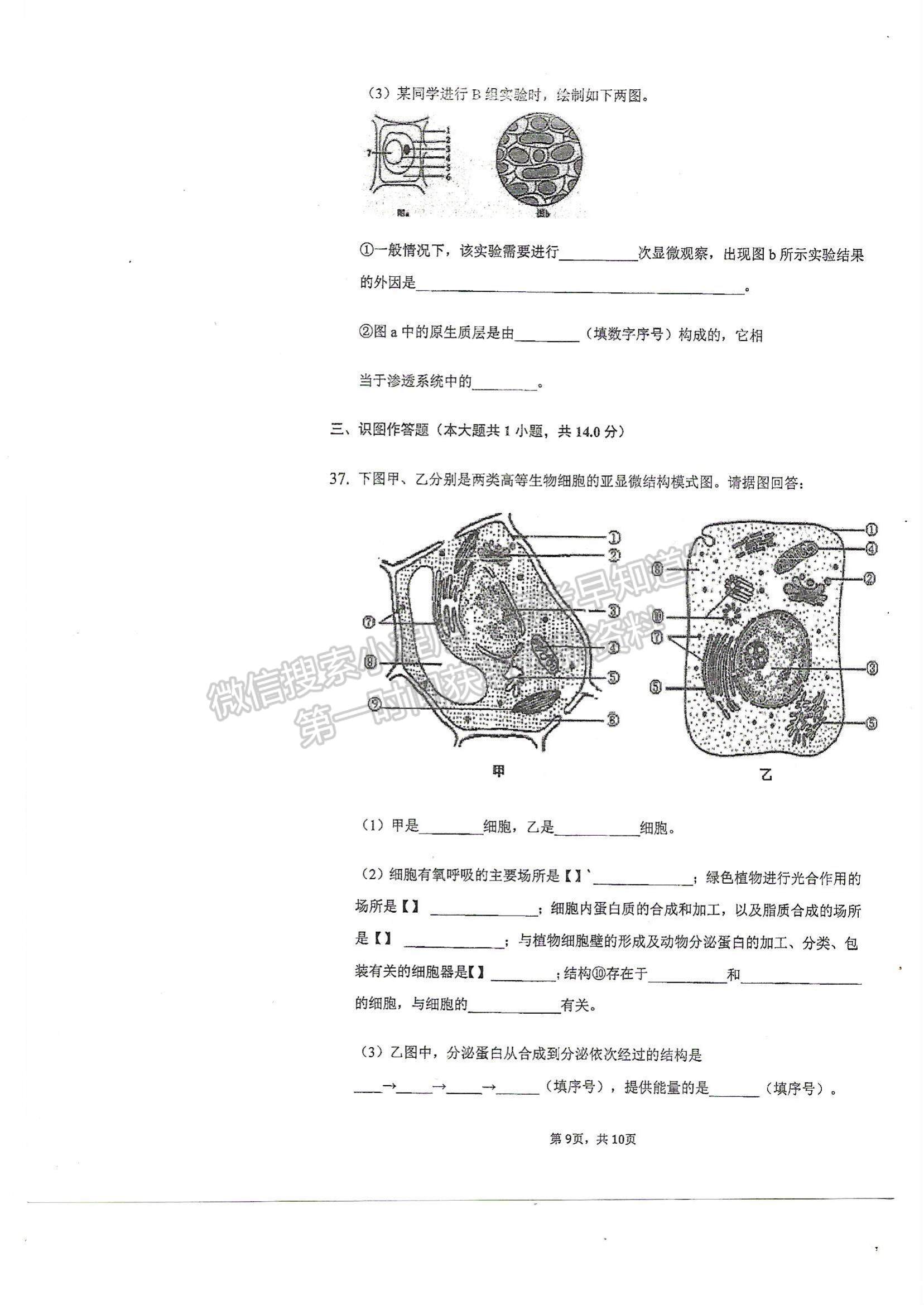 2022天津市軍糧城中學(xué)高一上學(xué)期期中考試生物試題及參考答案