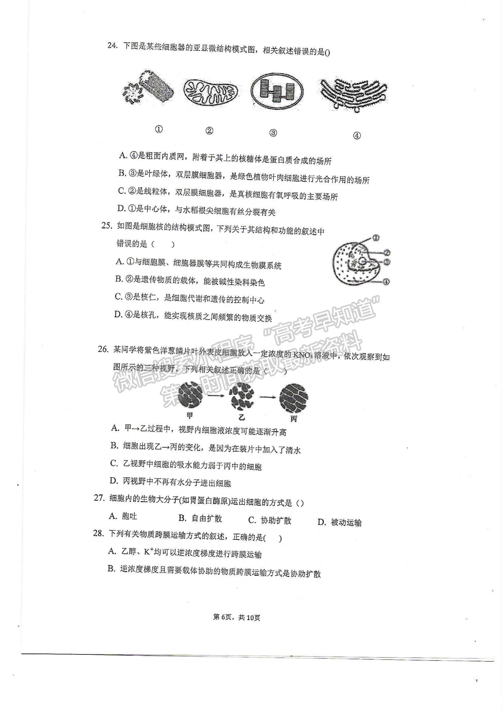 2022天津市軍糧城中學高一上學期期中考試生物試題及參考答案