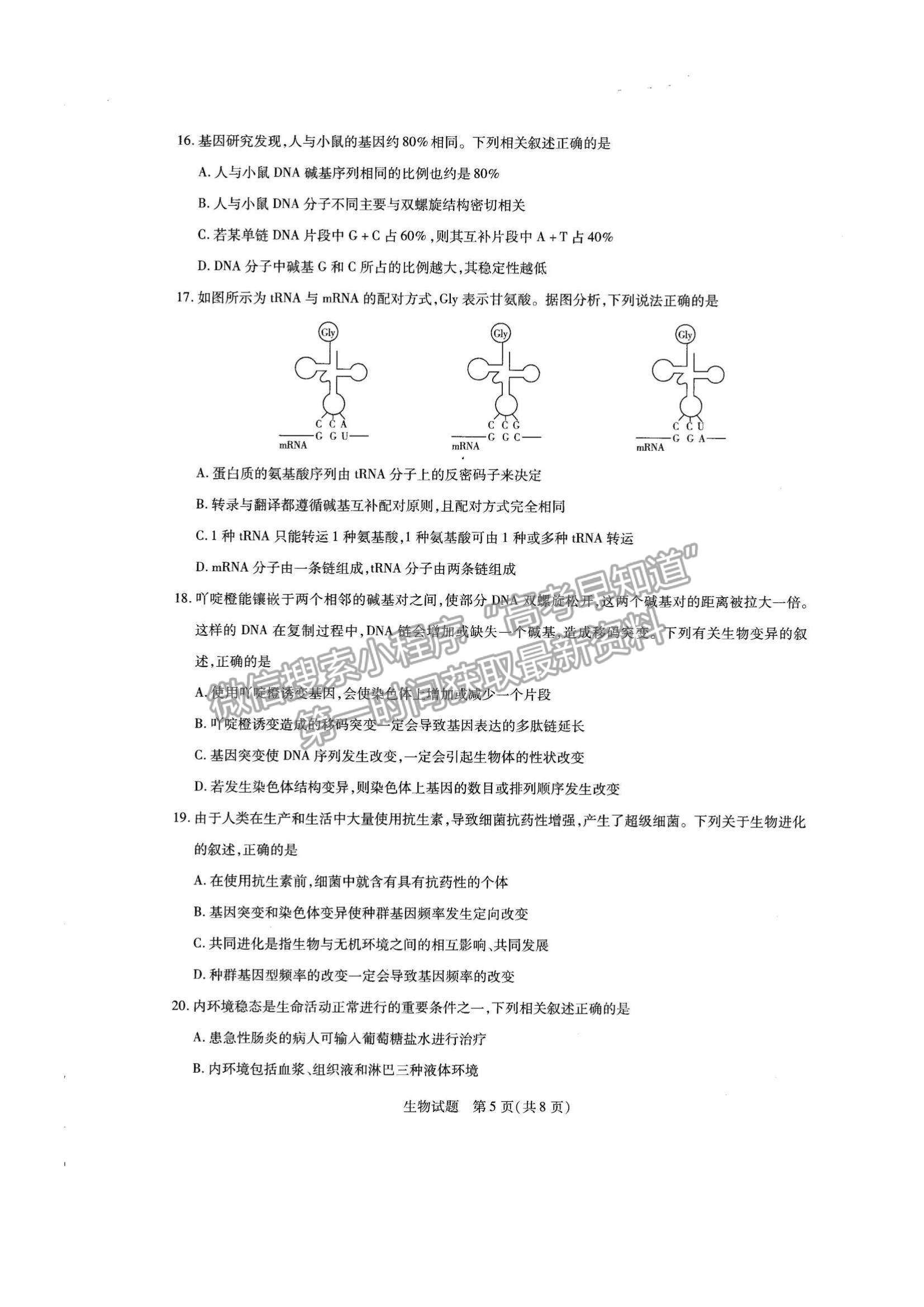 2022河南省名校大聯(lián)考高三上學(xué)期期中考試生物試題及參考答案