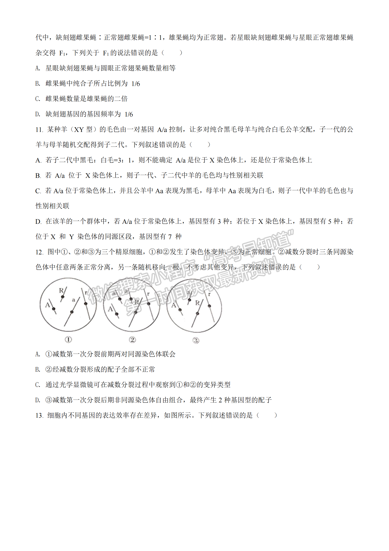 2022湖北部分重點中學(xué)高三第一次聯(lián)考生物試題及答案