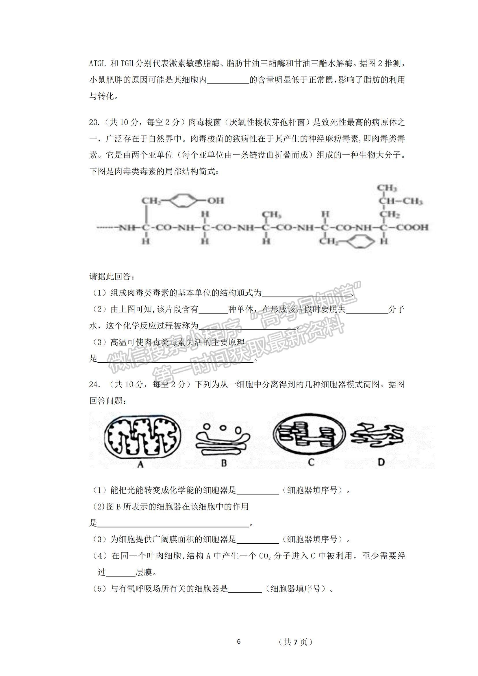 2022廣東省湛江市第二十一中學(xué)高一上學(xué)期期中考試生物試題及參考答案