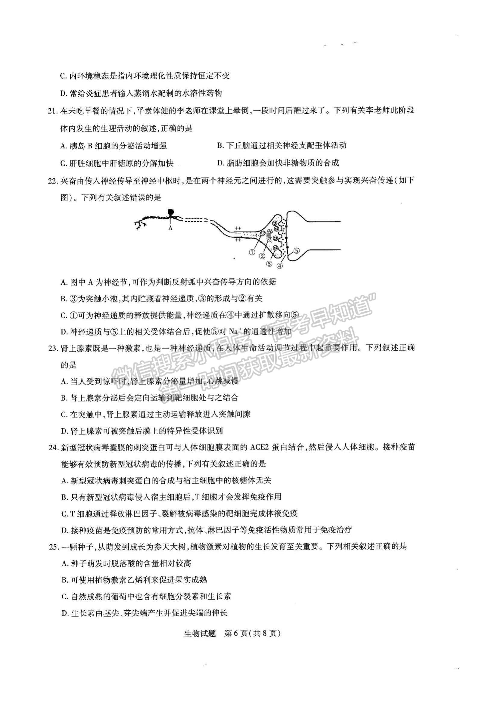 2022河南省名校大聯(lián)考高三上學(xué)期期中考試生物試題及參考答案