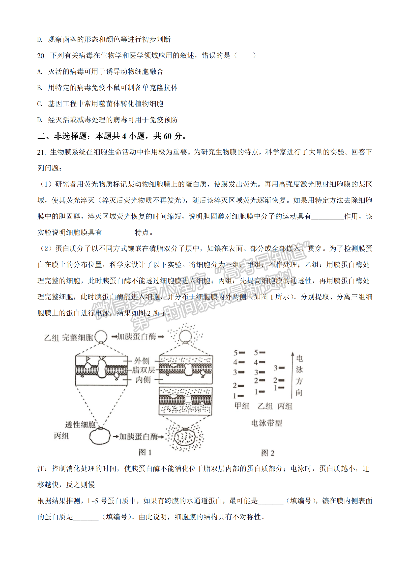 2022湖北部分重點(diǎn)中學(xué)高三第一次聯(lián)考生物試題及答案