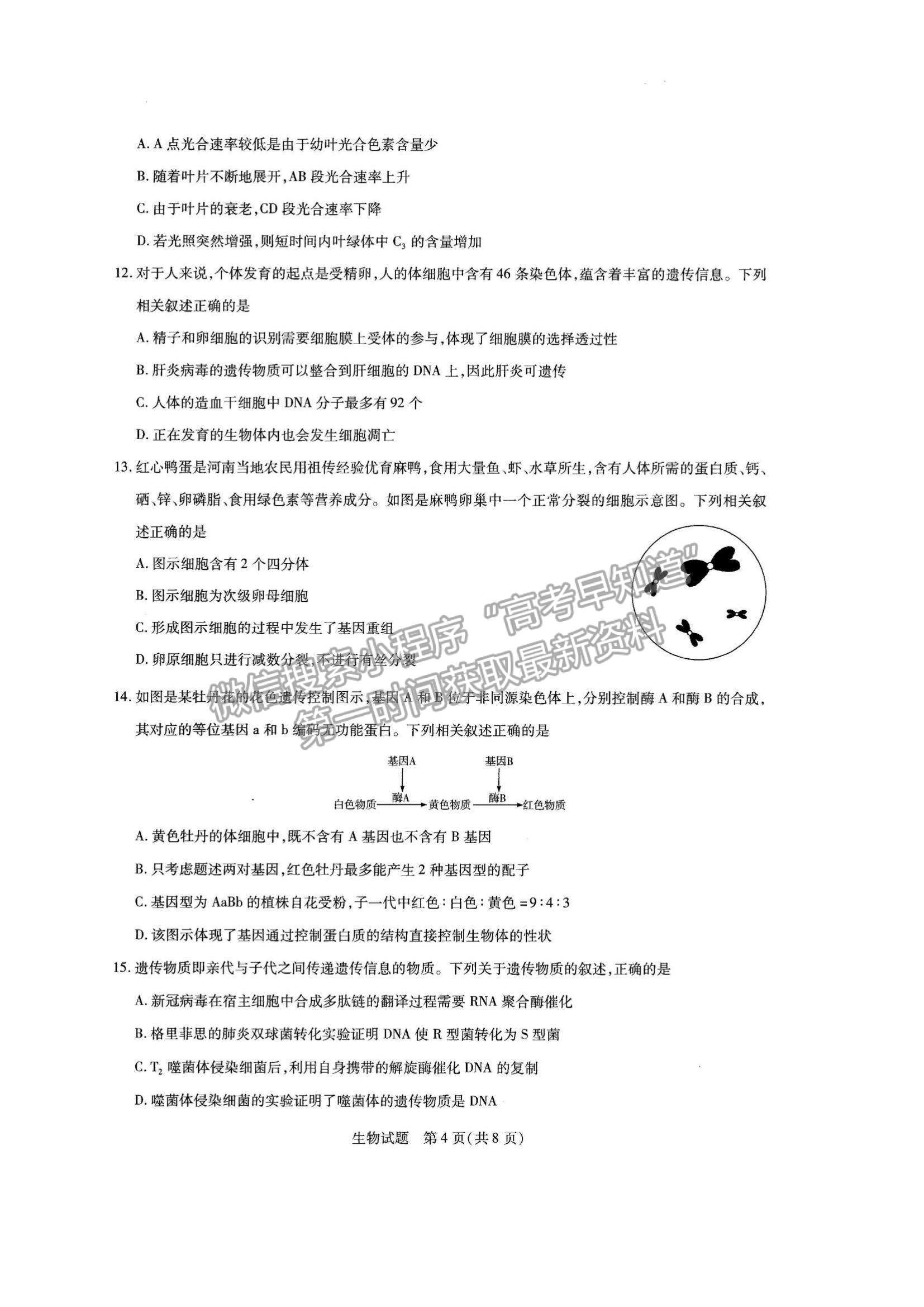 2022河南省名校大聯(lián)考高三上學(xué)期期中考試生物試題及參考答案