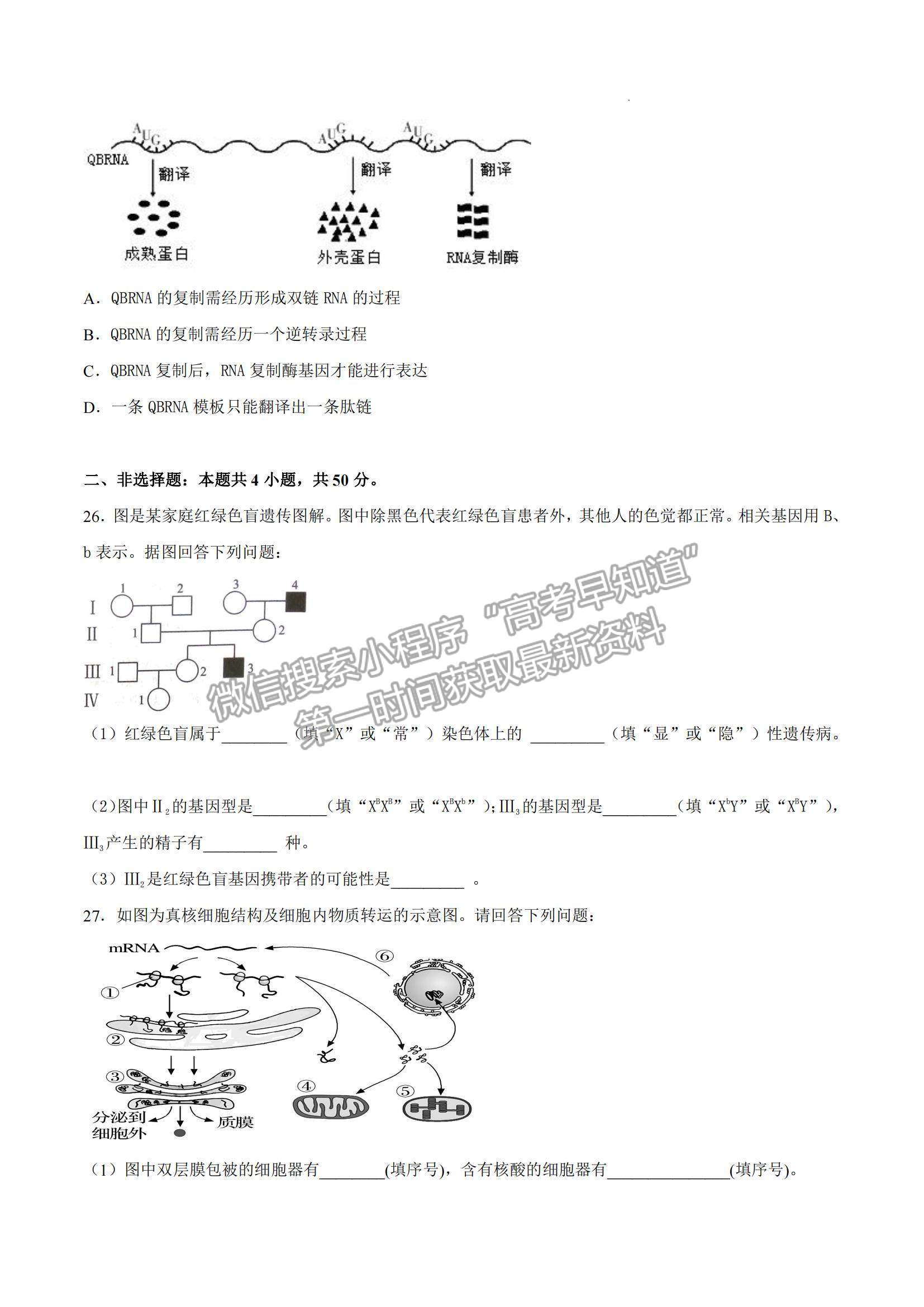 2021年12月山東省普通高中學(xué)業(yè)水平合格性考試生物仿真模擬試卷B及參考答案