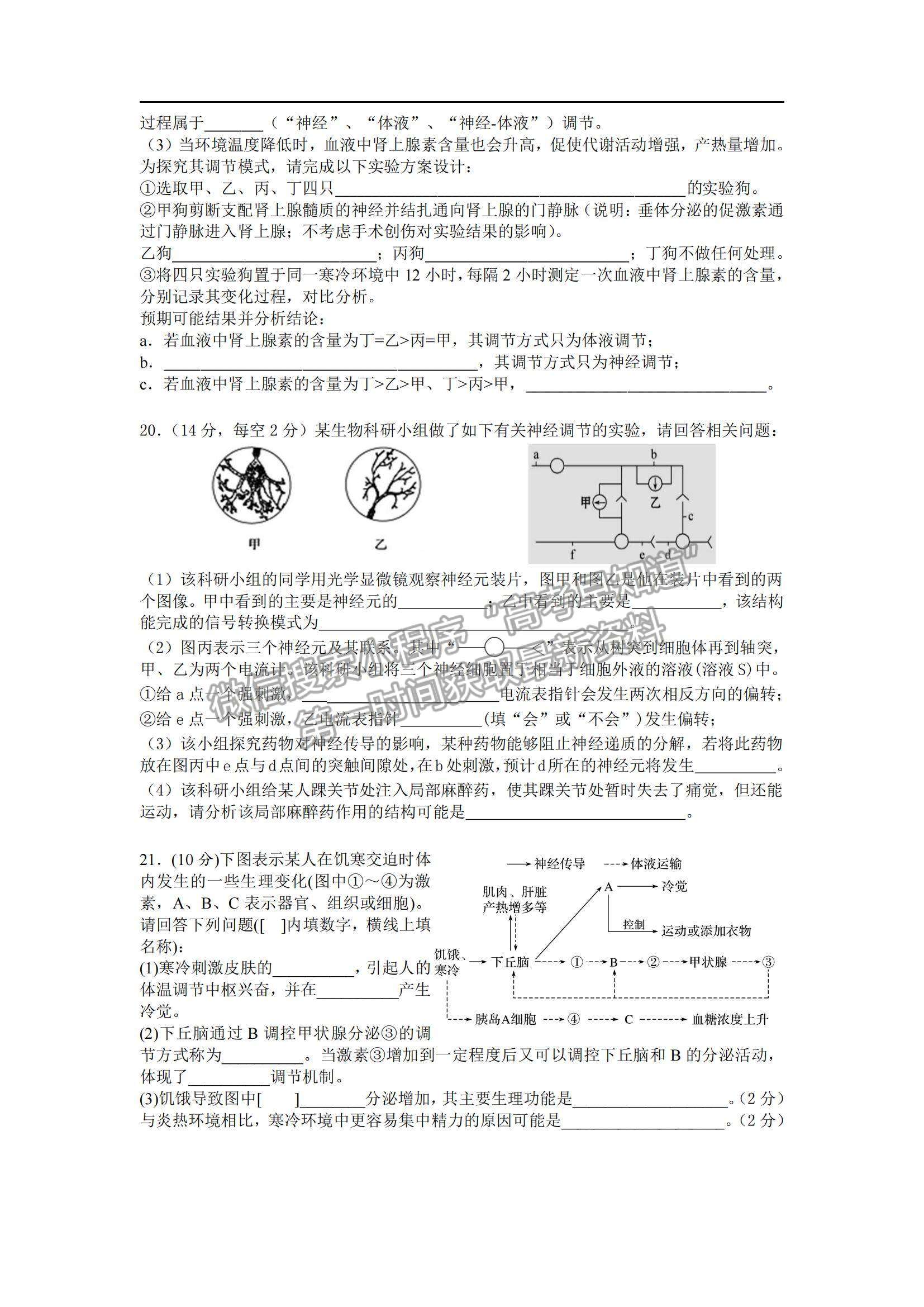 2022廣東省湛江市第二十一中學高二上學期期中考試生物試題及參考答案