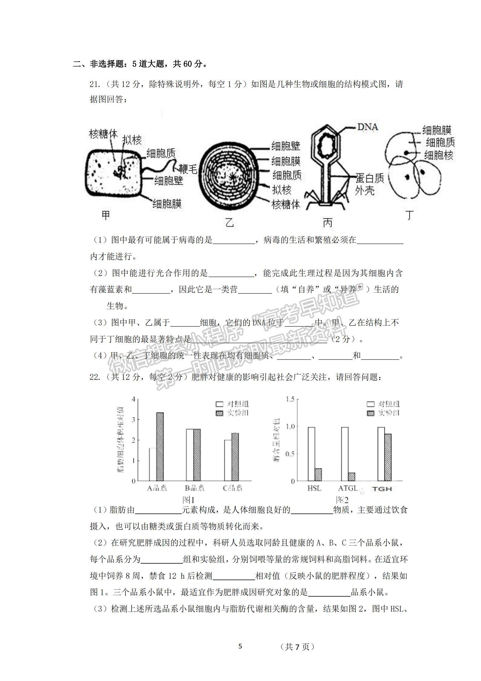 2022廣東省湛江市第二十一中學(xué)高一上學(xué)期期中考試生物試題及參考答案