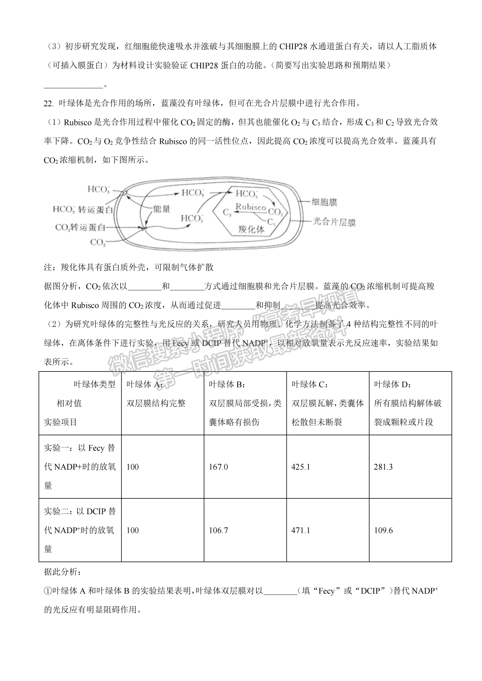 2022湖北部分重點(diǎn)中學(xué)高三第一次聯(lián)考生物試題及答案