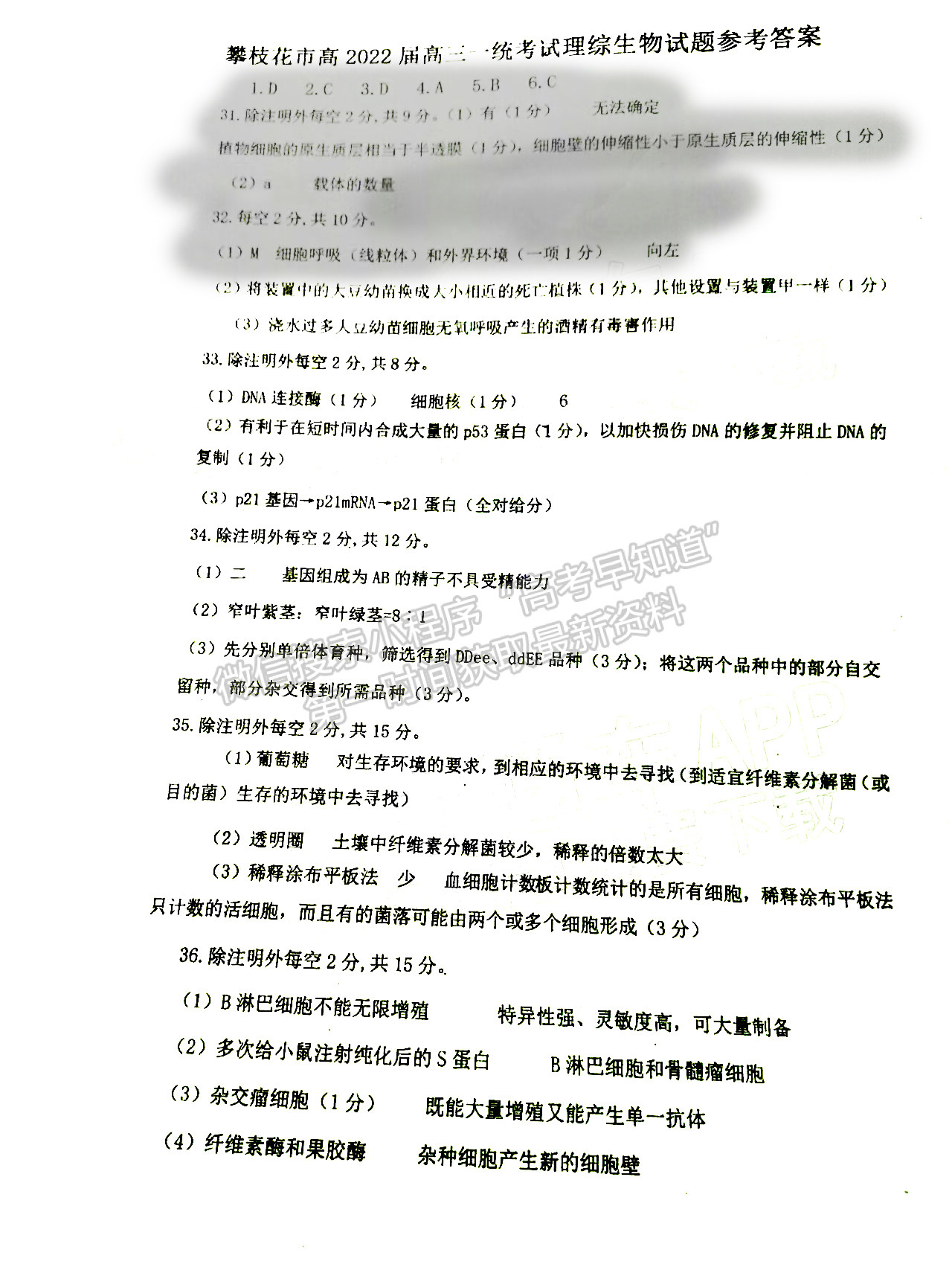 2022四川省攀枝花市高中2022屆高三第一次統(tǒng)一考試?yán)砜凭C合試題答案