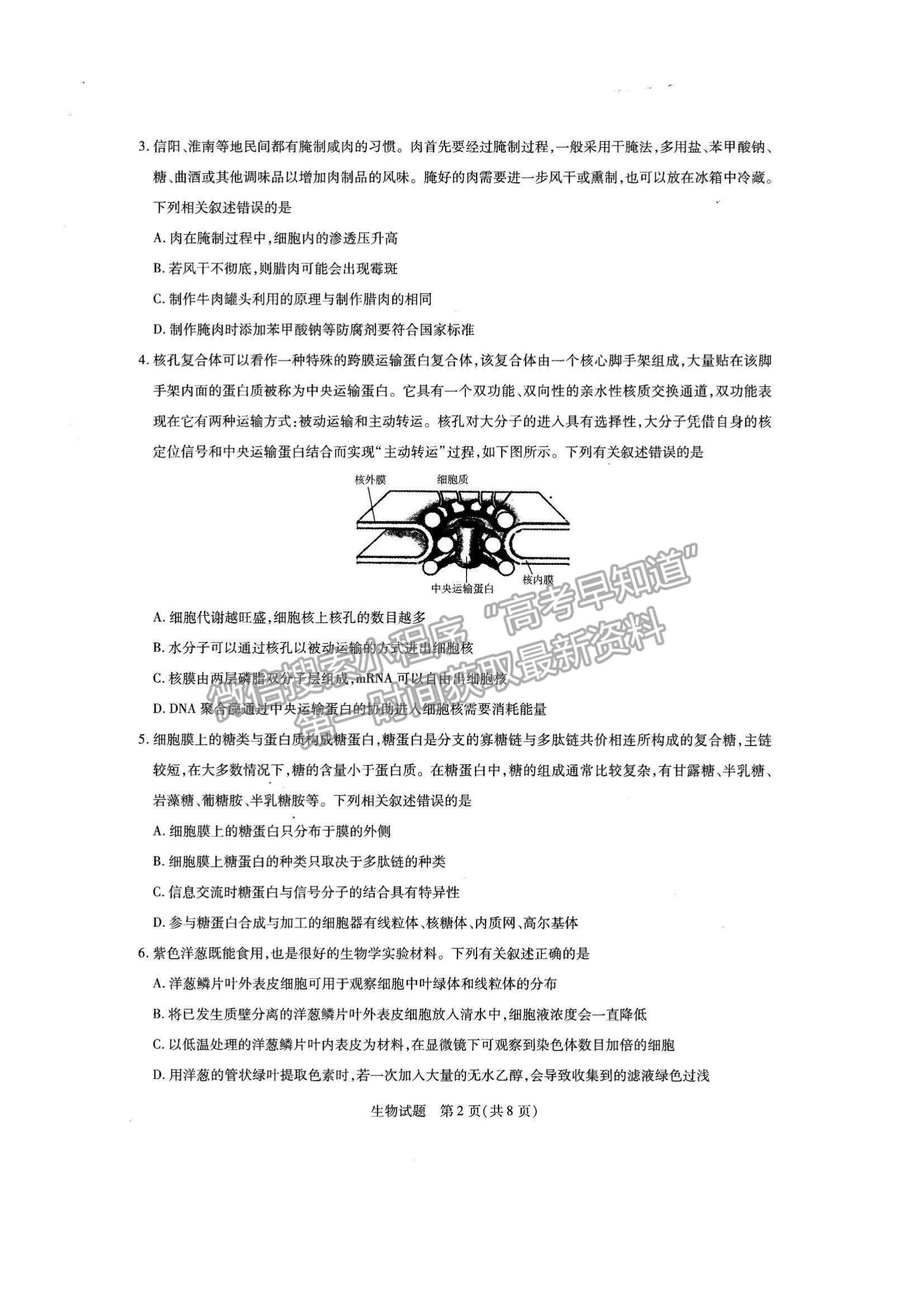 2022河南省名校大聯(lián)考高三上學(xué)期期中考試生物試題及參考答案