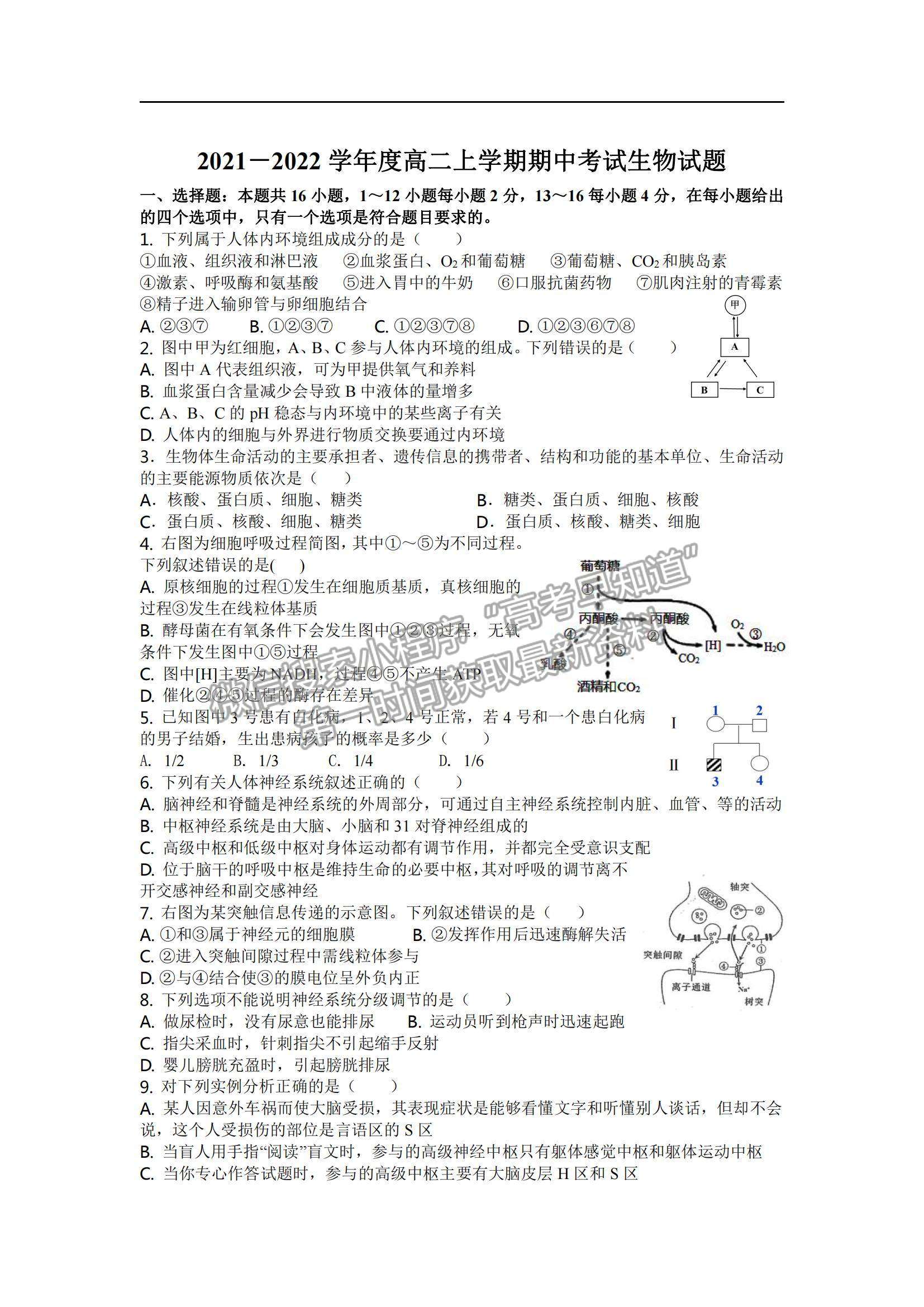 2022广东省湛江市第二十一中学高二上学期期中考试生物试题及参考答案