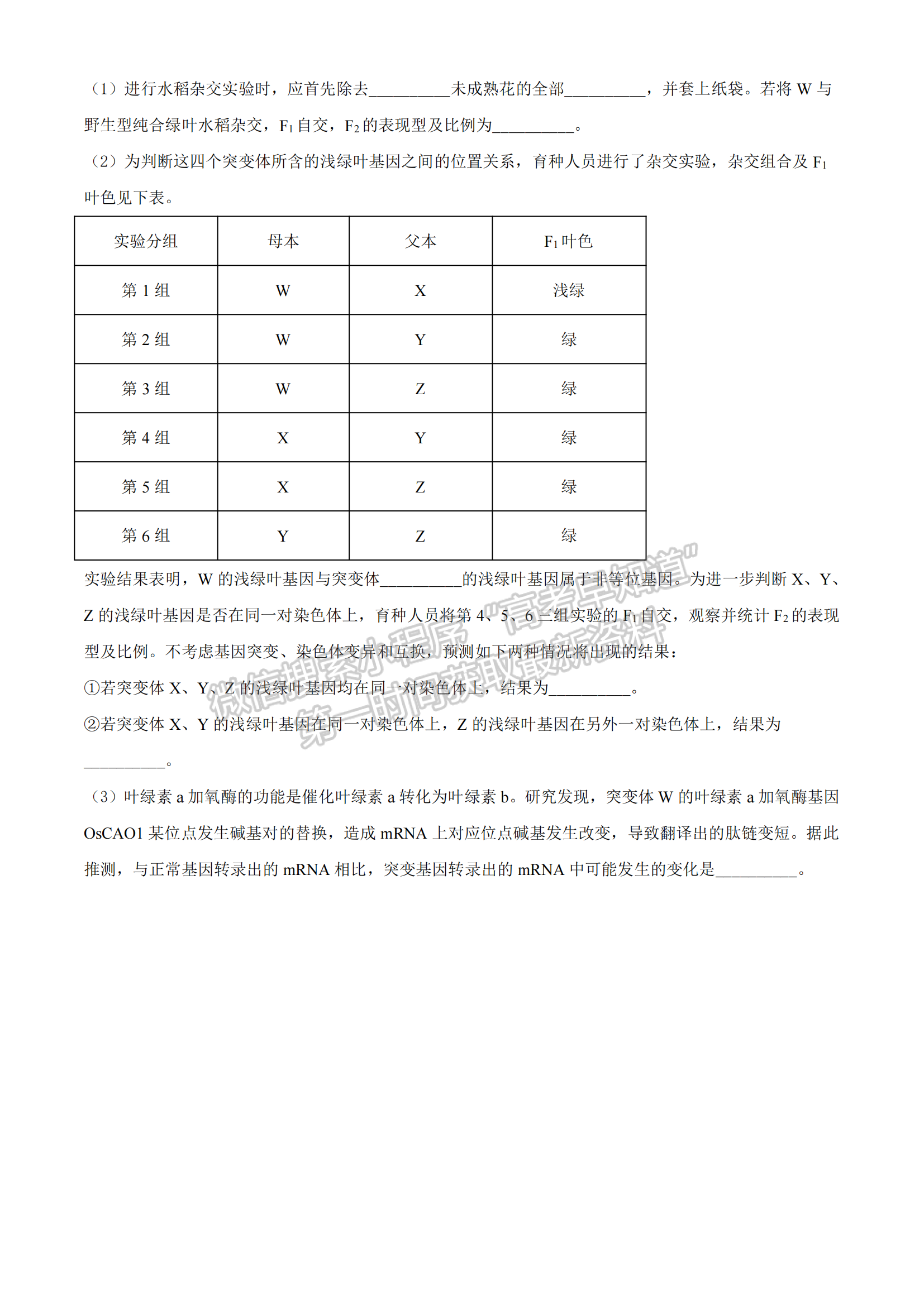 2022湖北部分重點(diǎn)中學(xué)高三第一次聯(lián)考生物試題及答案