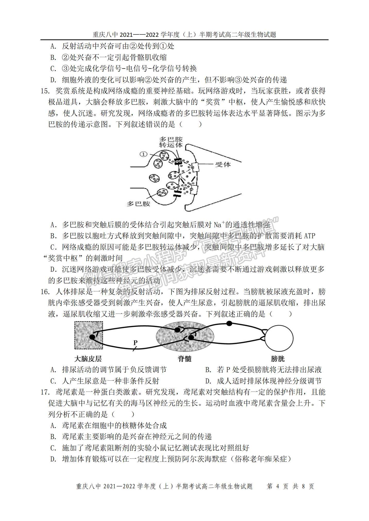 2022重慶八中高二上學期期中考試生物試題及參考答案