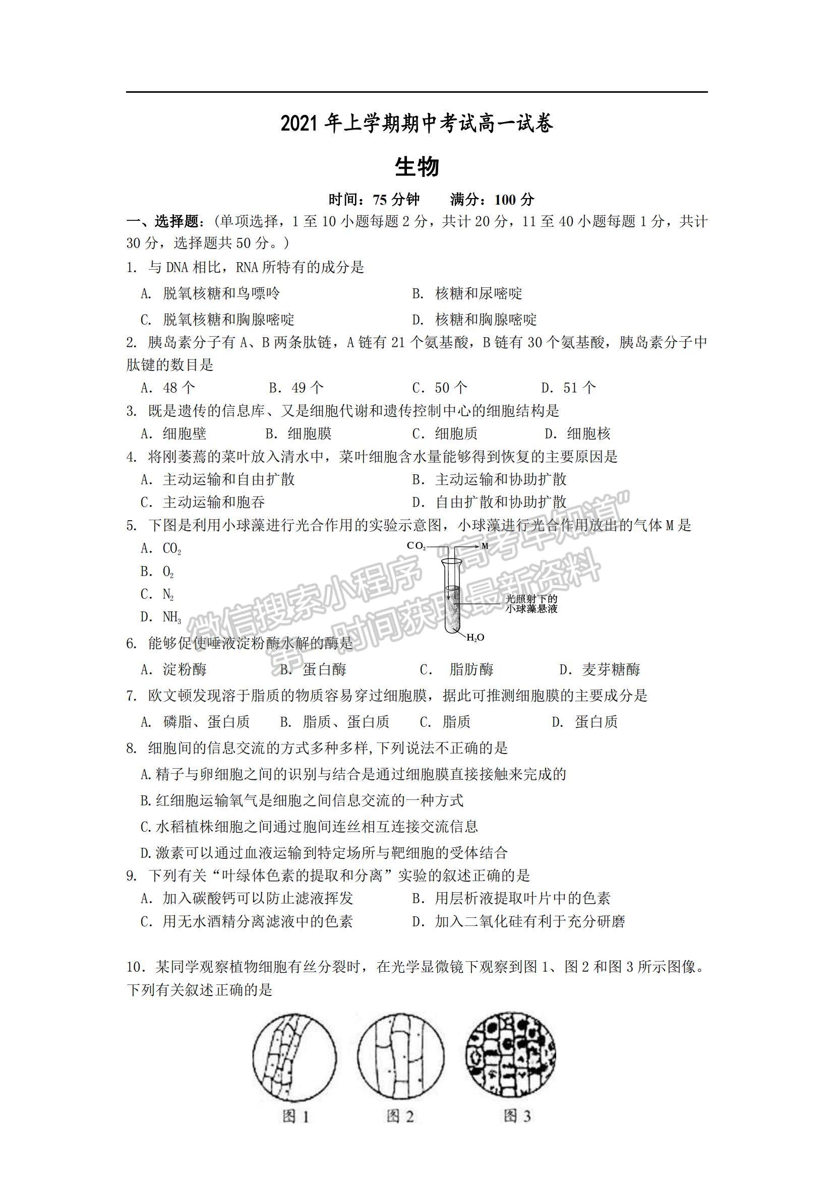 2022湖南省長(zhǎng)沙市第二十一中高一上學(xué)期期中考試生物試題及參考答案