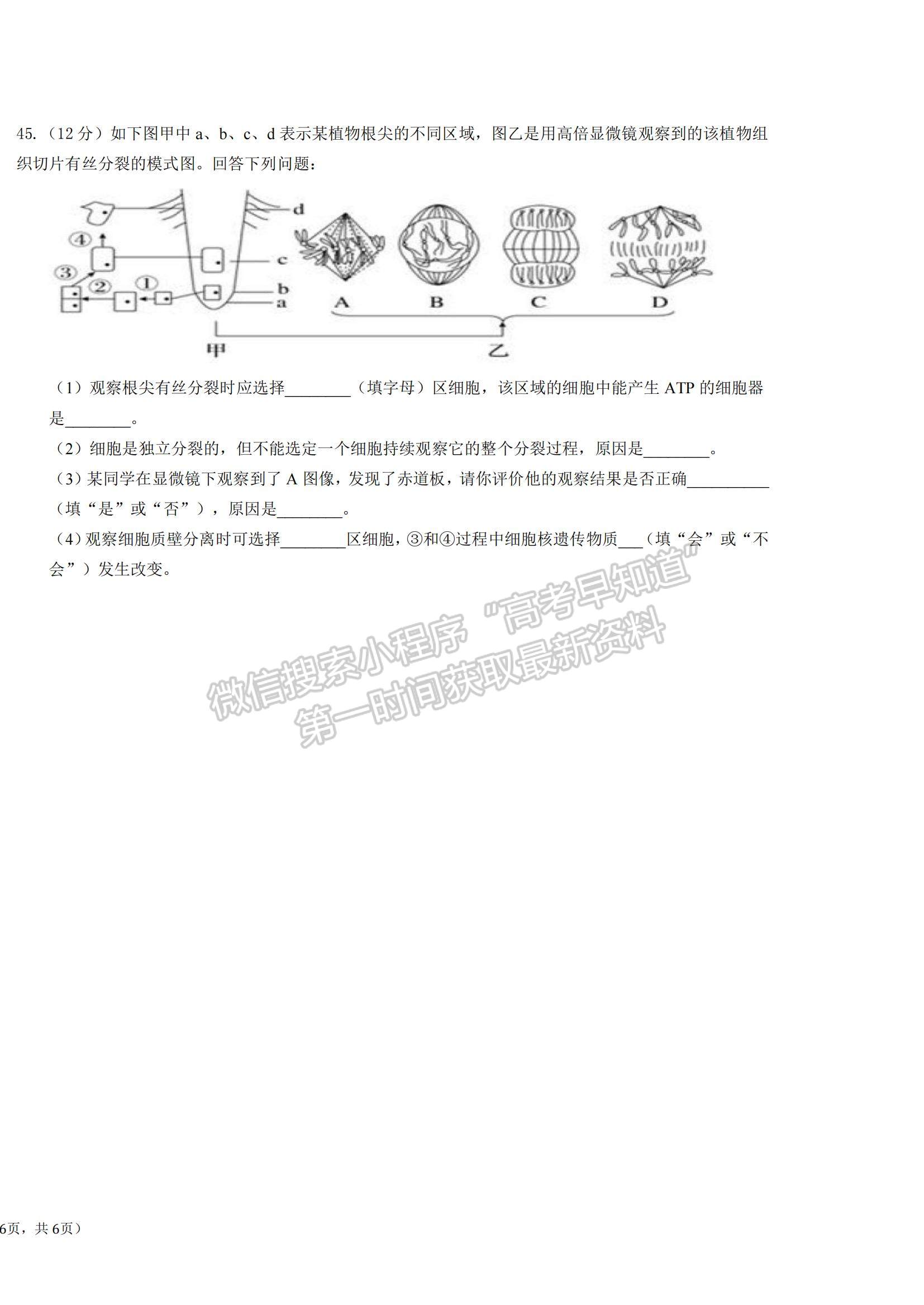 2022寧夏六盤(pán)山高級(jí)中學(xué)高二上學(xué)期期中考試生物試題及參考答案