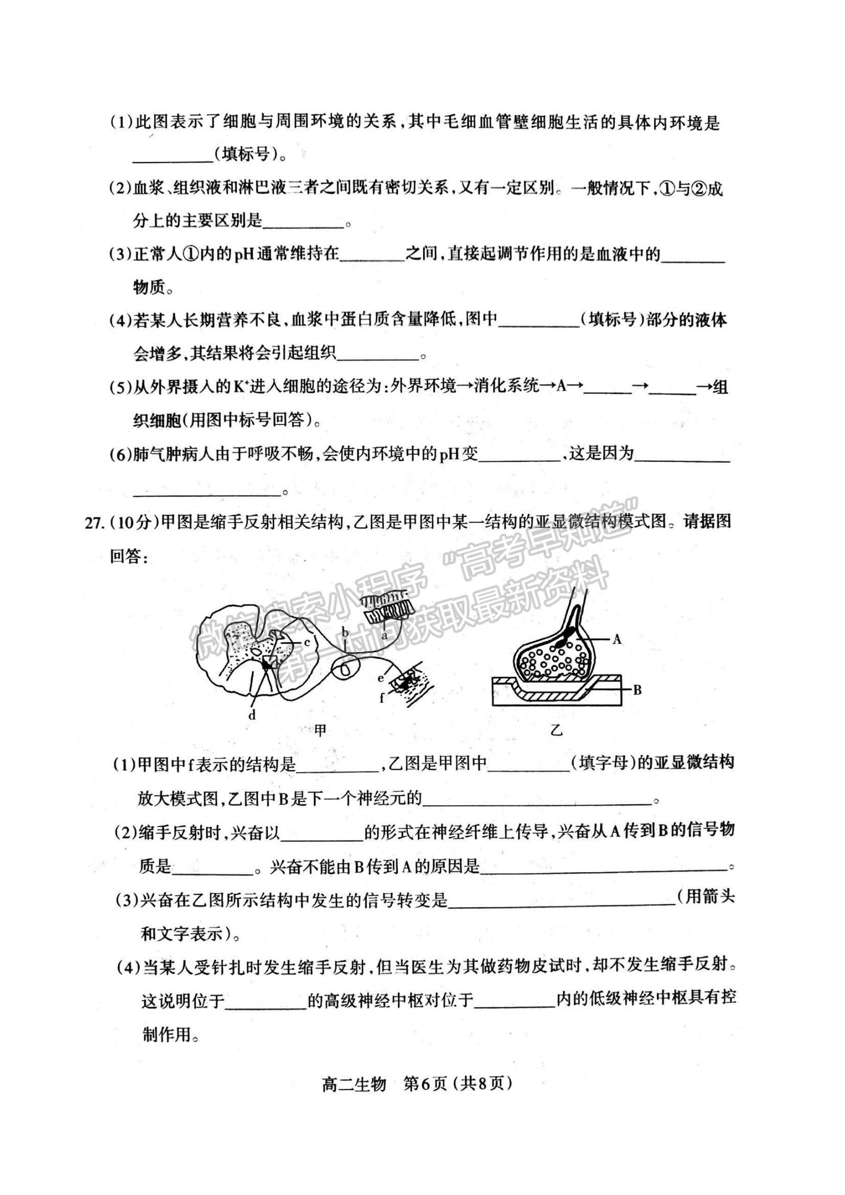 2022山西省太原市高二上學(xué)期期中檢測生物試題及參考答案