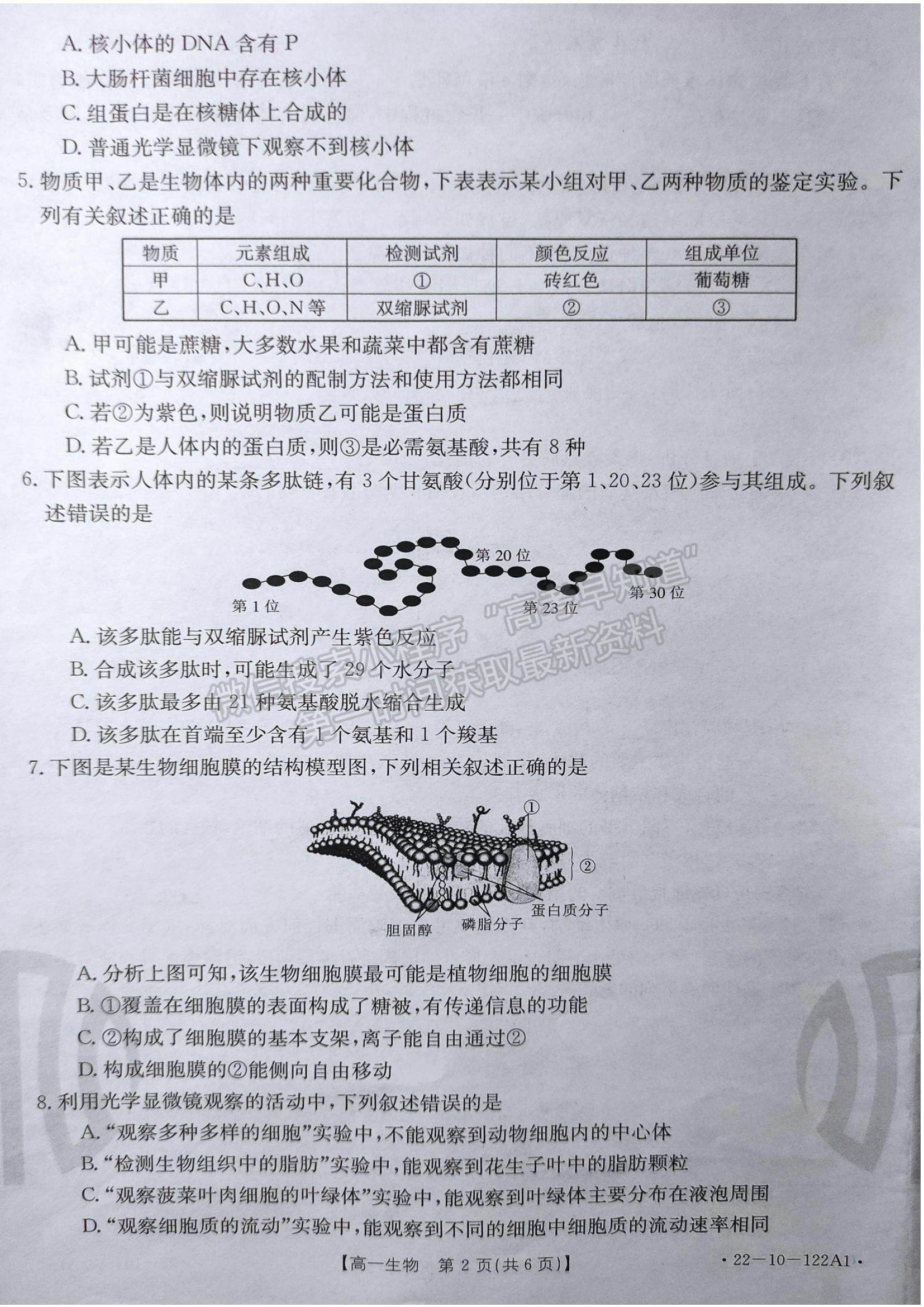 2022湖南省百校大聯(lián)考高一上學期期中考試生物試題及參考答案