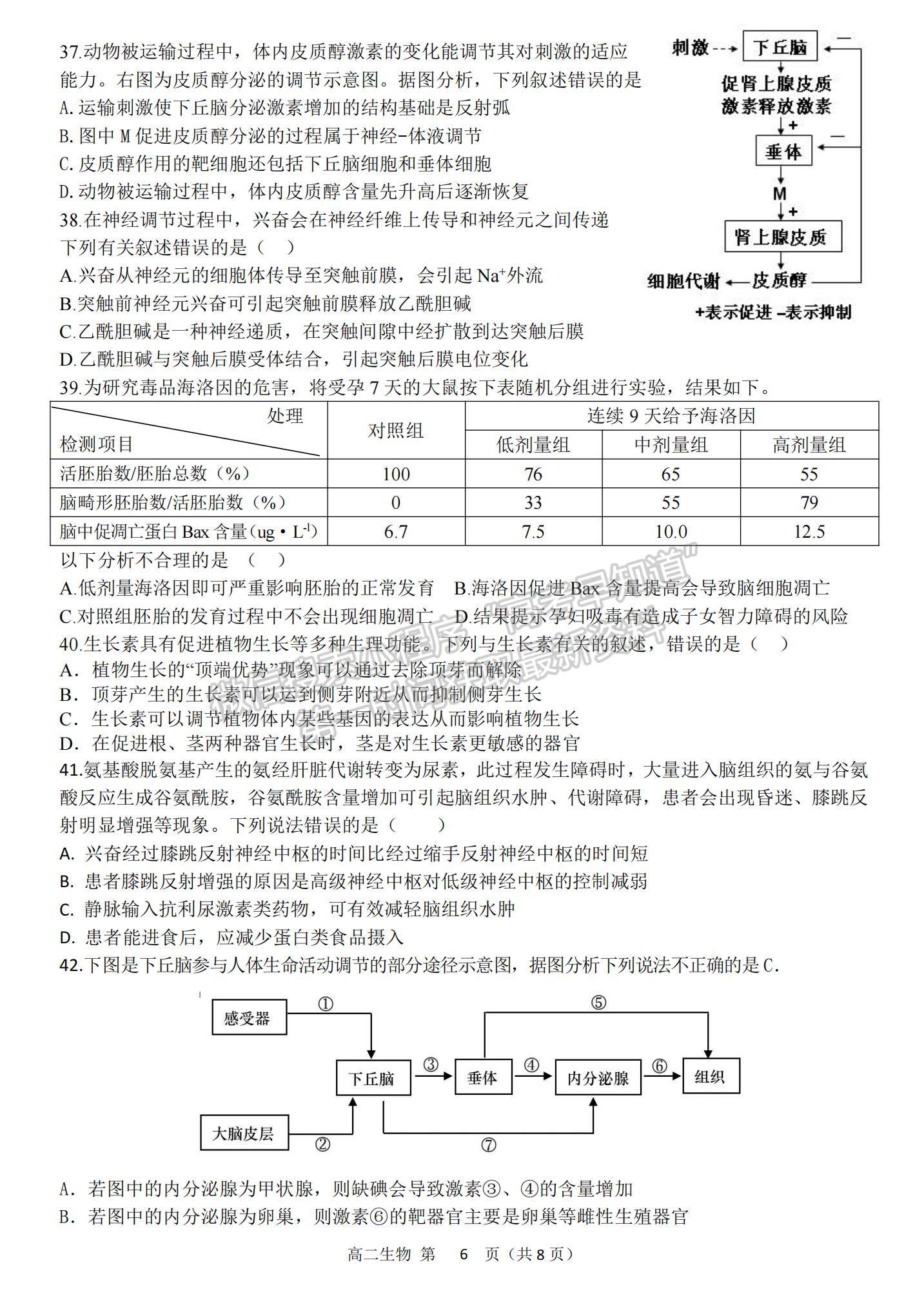 2022黑龍江省齊齊哈爾第八中學(xué)高二上學(xué)期期中考試生物試題及參考答案