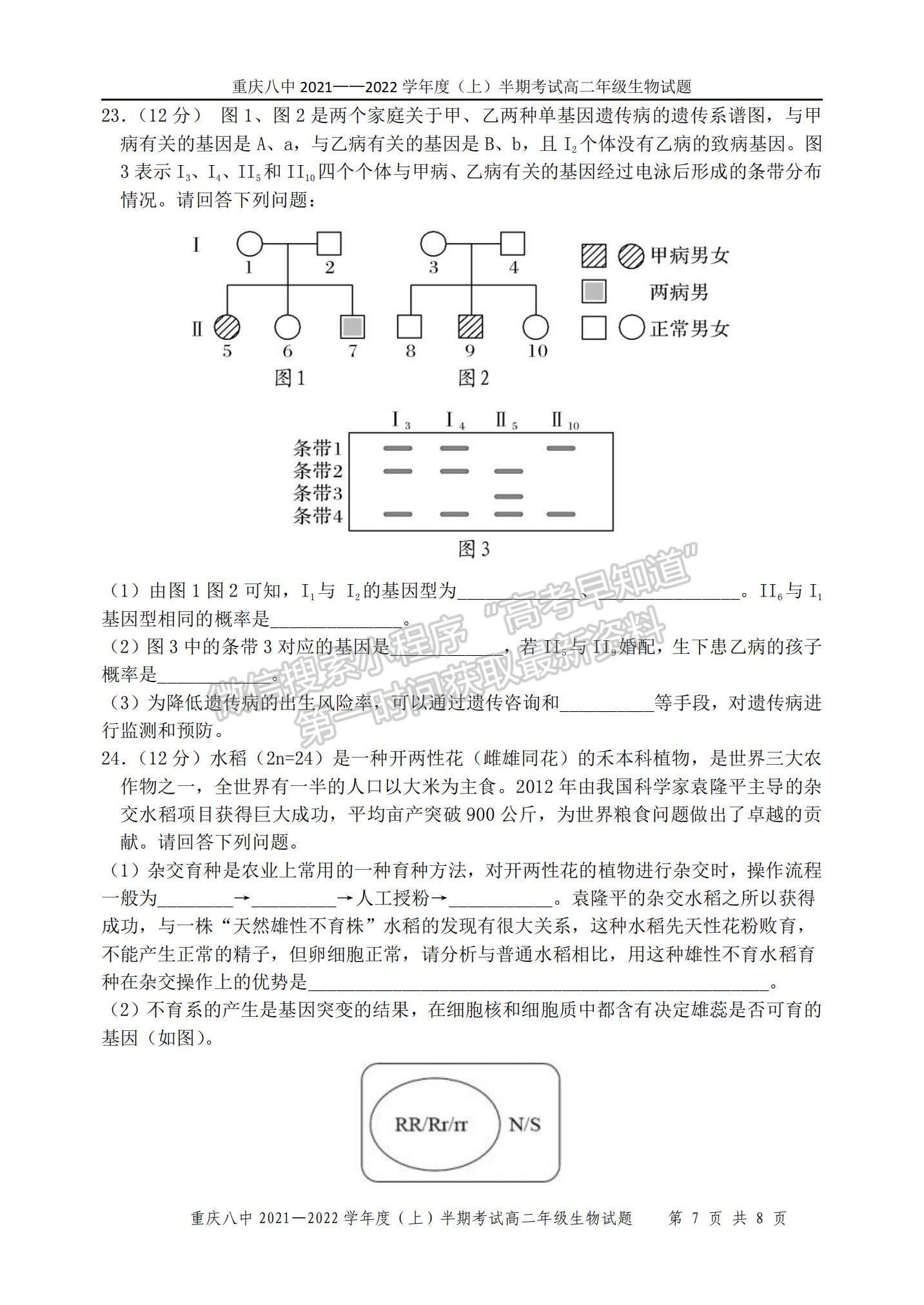 2022重慶八中高二上學期期中考試生物試題及參考答案