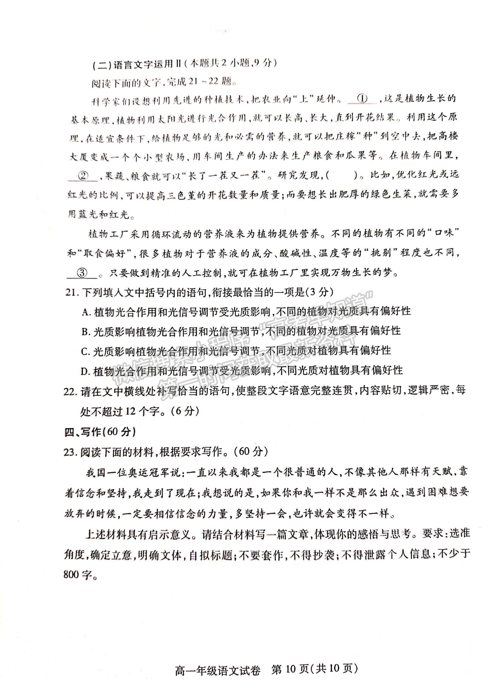 2022湖北省武漢部分學(xué)校高一上學(xué)期期中調(diào)研考試語文試題及參考答案