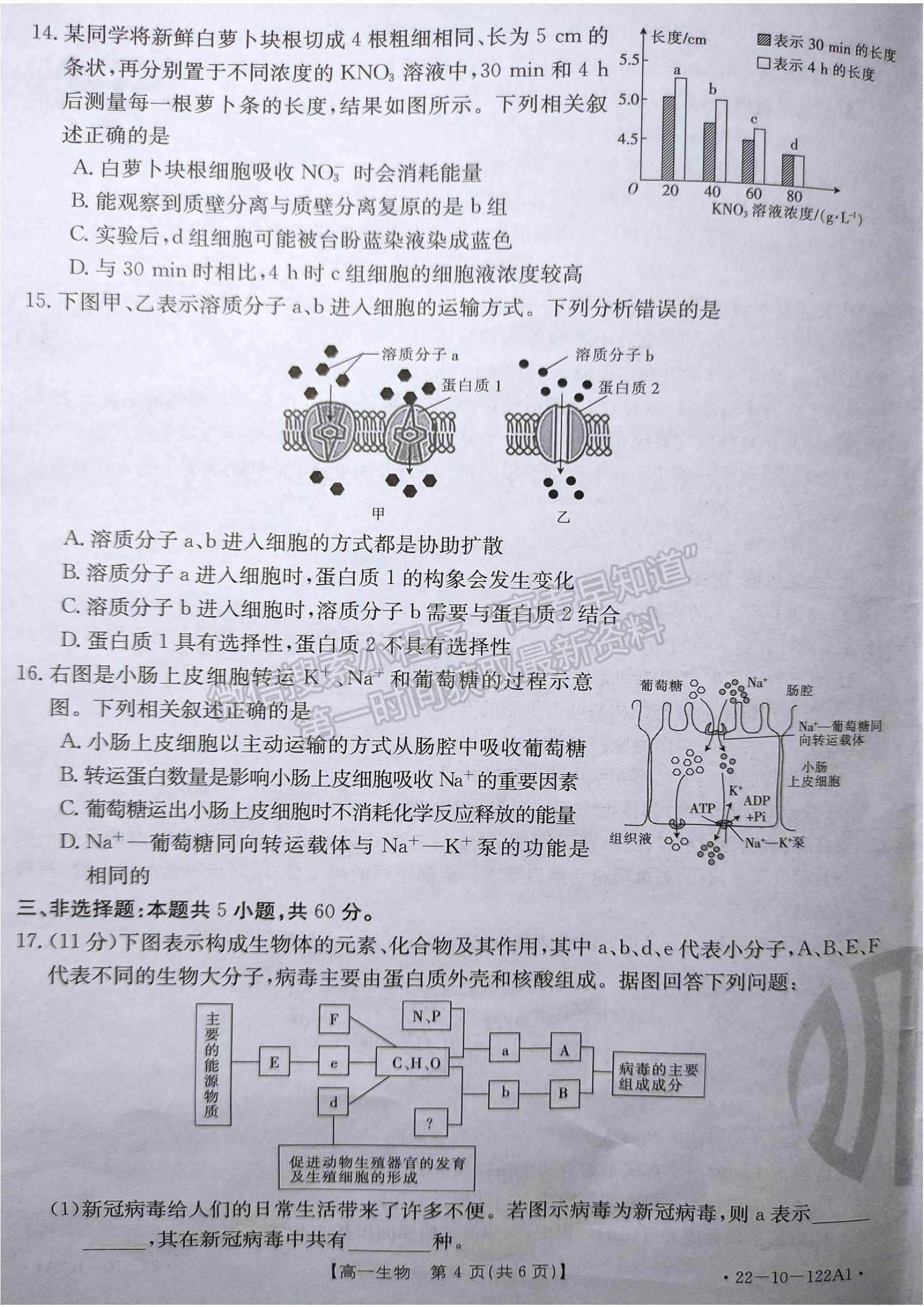 2022湖南省百校大聯(lián)考高一上學期期中考試生物試題及參考答案