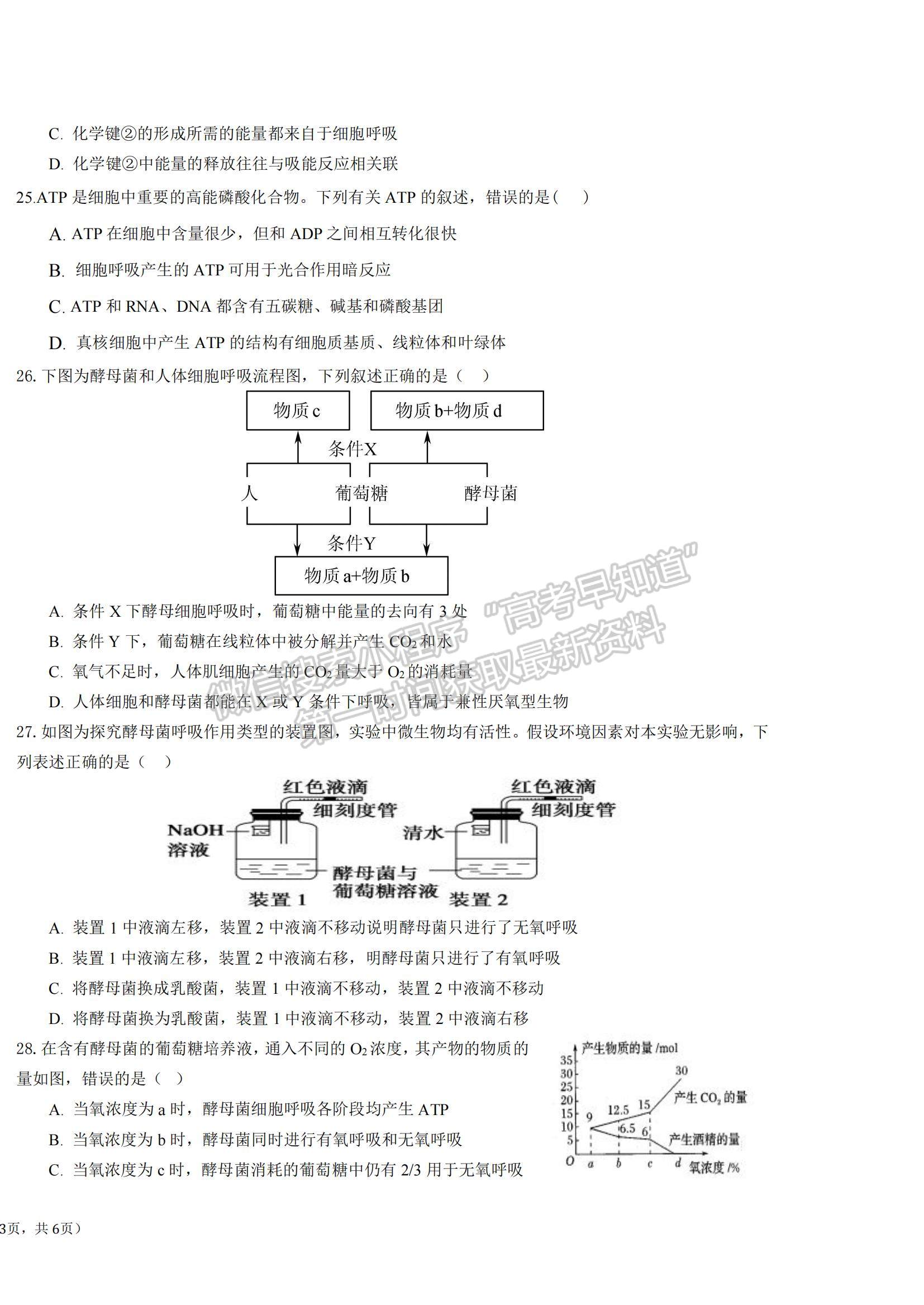 2022寧夏六盤(pán)山高級(jí)中學(xué)高二上學(xué)期期中考試生物試題及參考答案