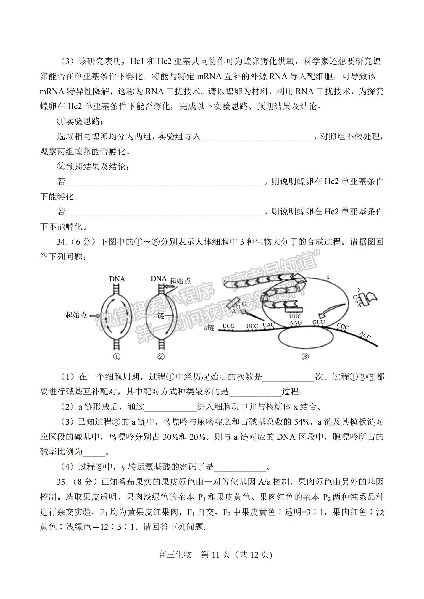 2022河南省南陽市高三上學(xué)期期中考試生物試題及參考答案