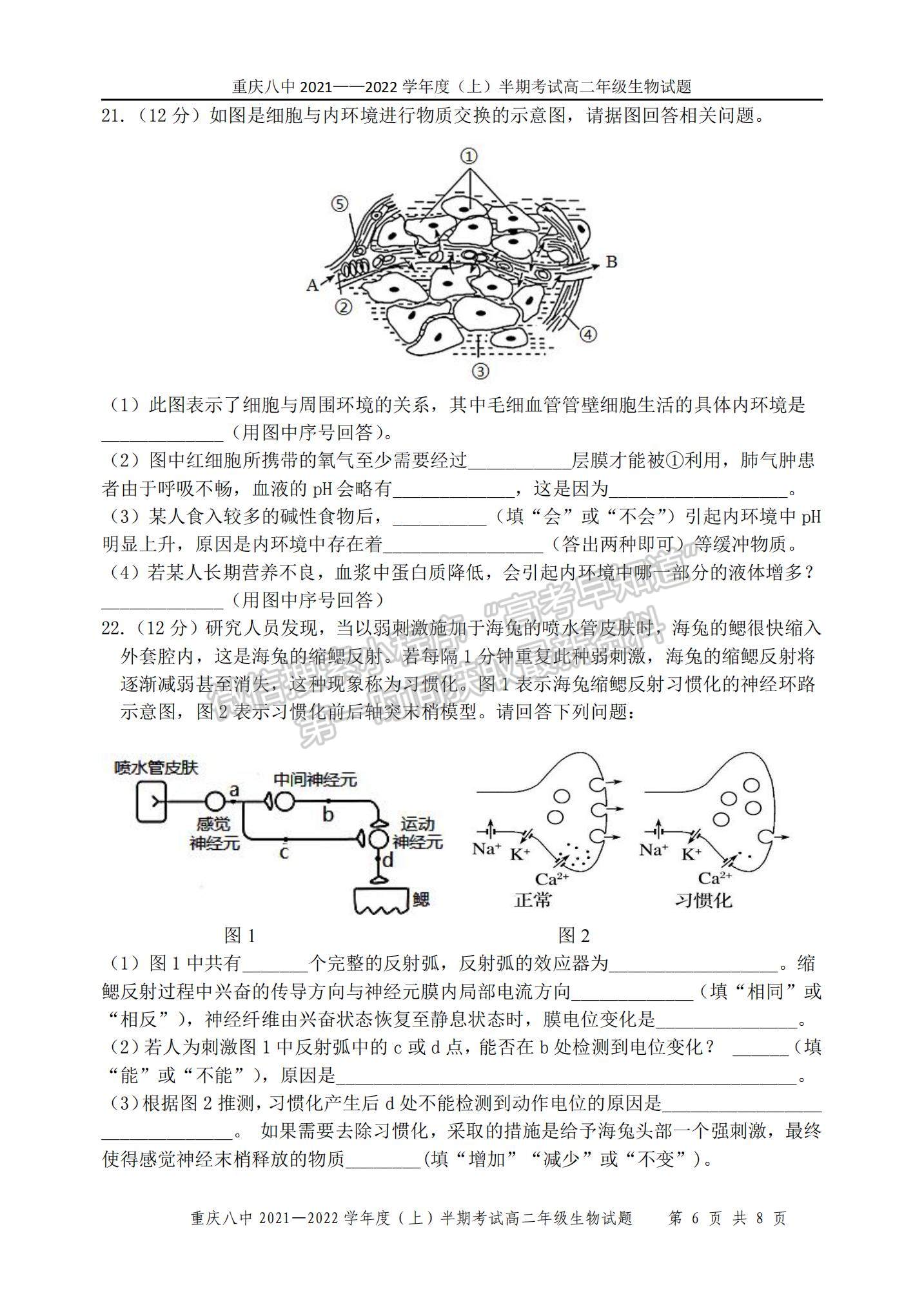 2022重慶八中高二上學期期中考試生物試題及參考答案