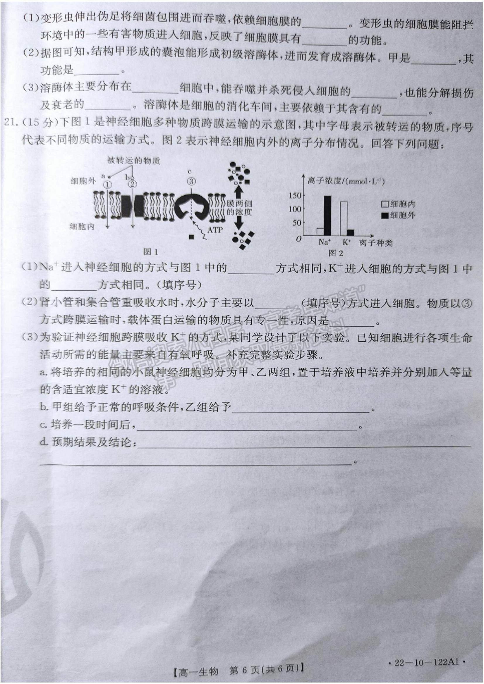 2022湖南省百校大聯(lián)考高一上學期期中考試生物試題及參考答案