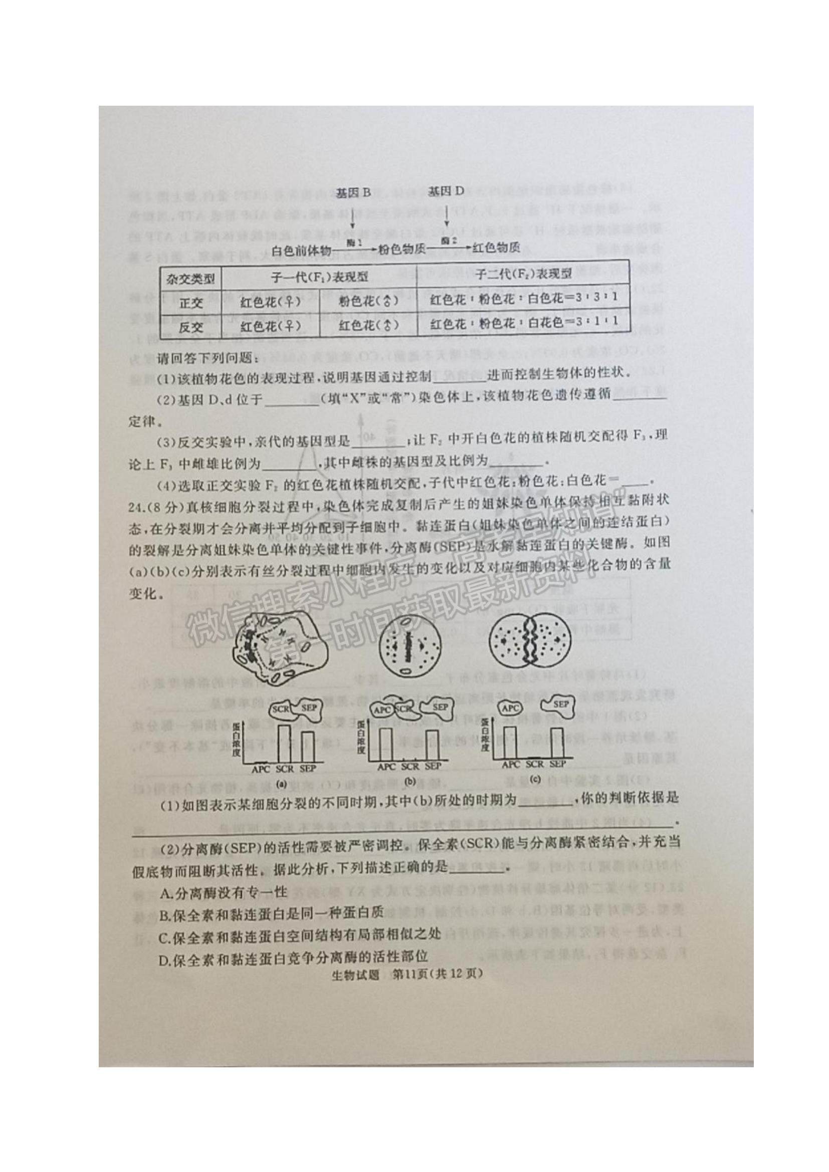 2022山東省棗莊滕州市高三上學(xué)期期中考試生物試題及參考答案