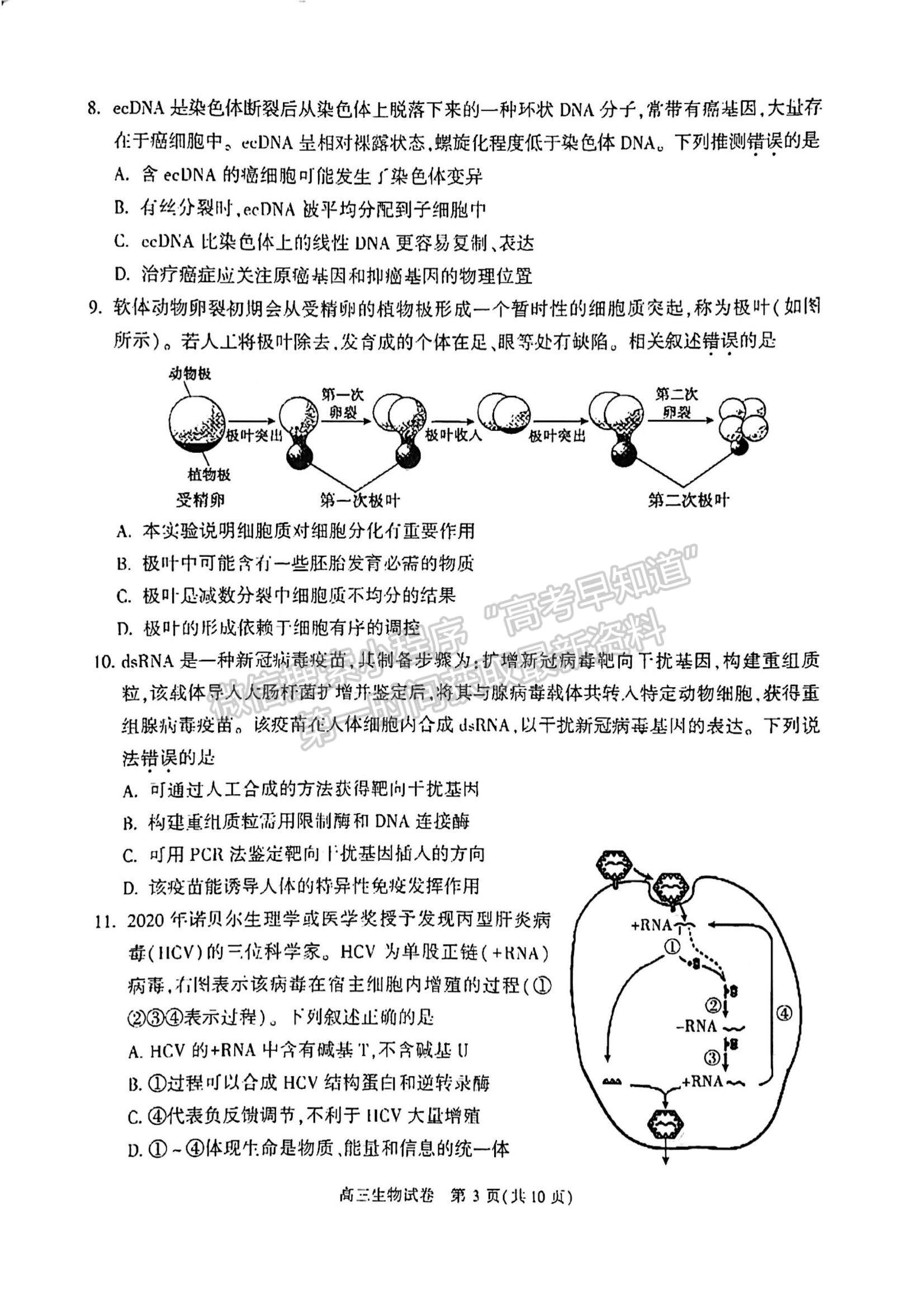 2022北京市朝陽區(qū)高三上學期期中考試生物試題及參考答案