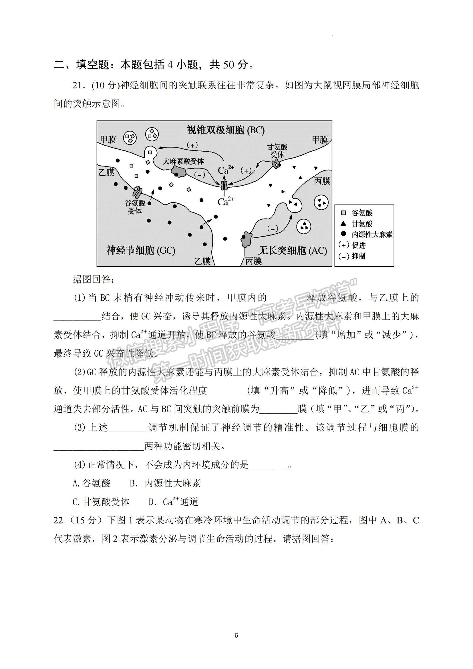 2022重慶市豐都縣同文中學(xué)高二上學(xué)期期中考試生物試題及參考答案