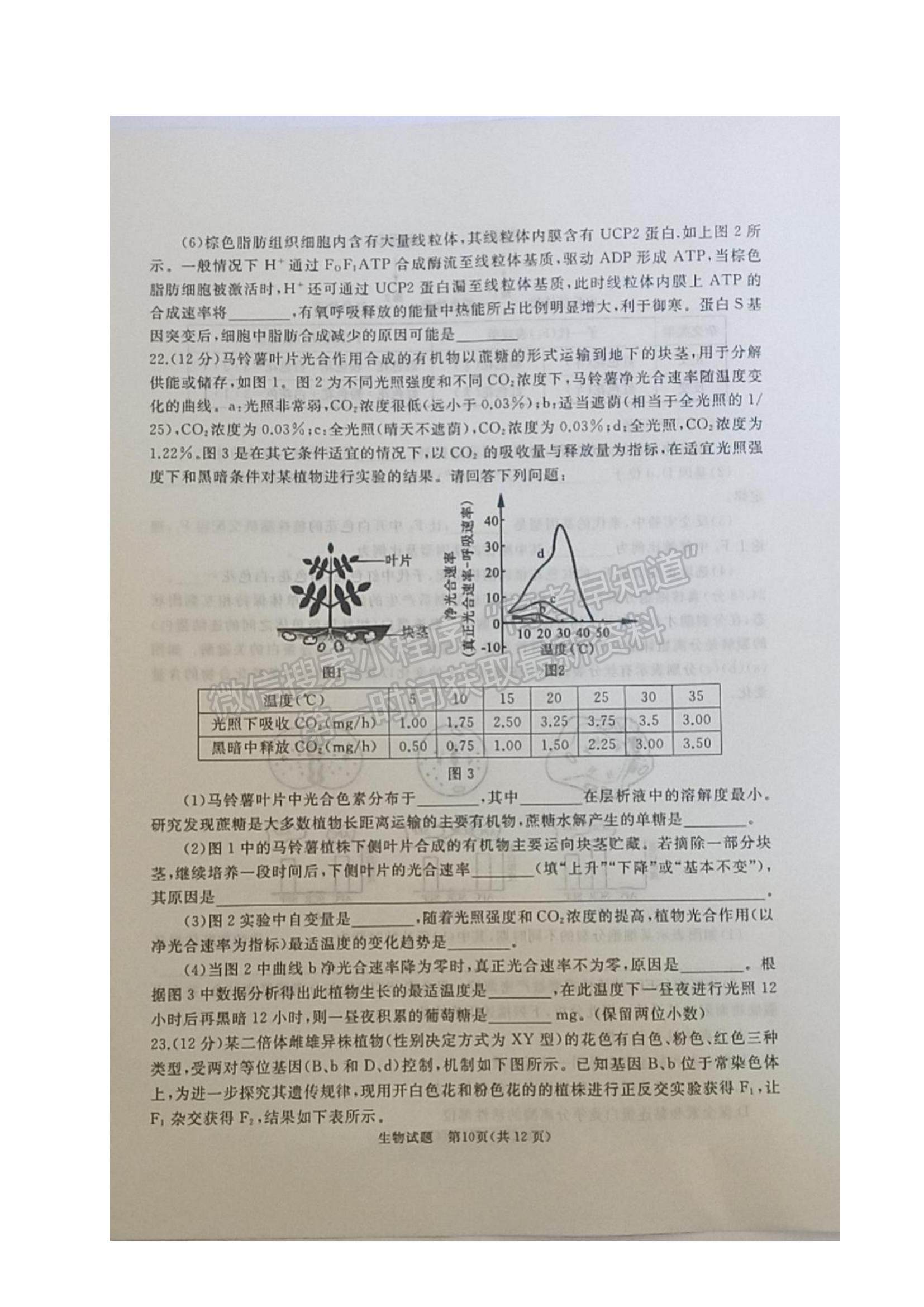 2022山東省棗莊滕州市高三上學(xué)期期中考試生物試題及參考答案